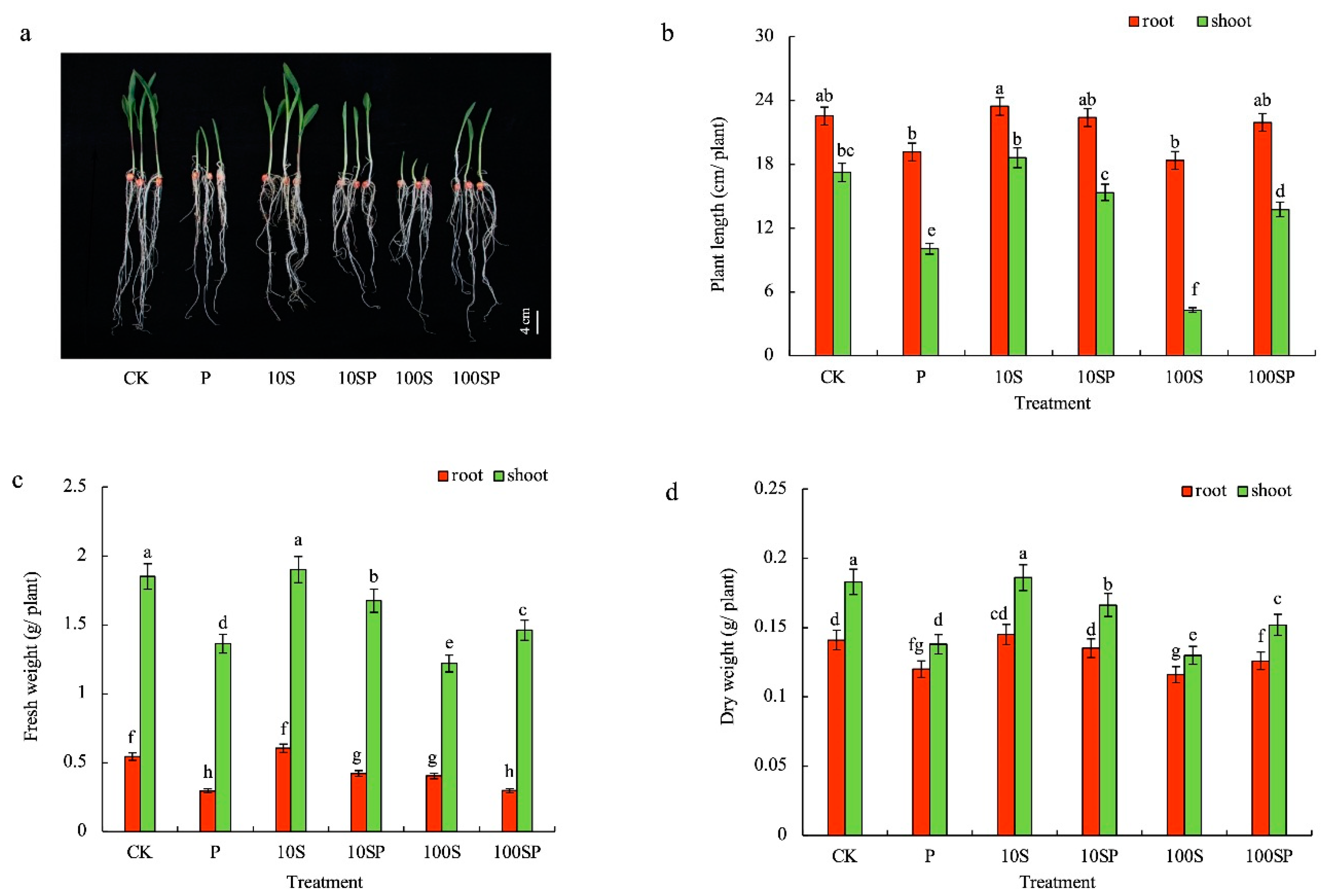 Plants 12 02456 g001 Plants 12 02456 g001