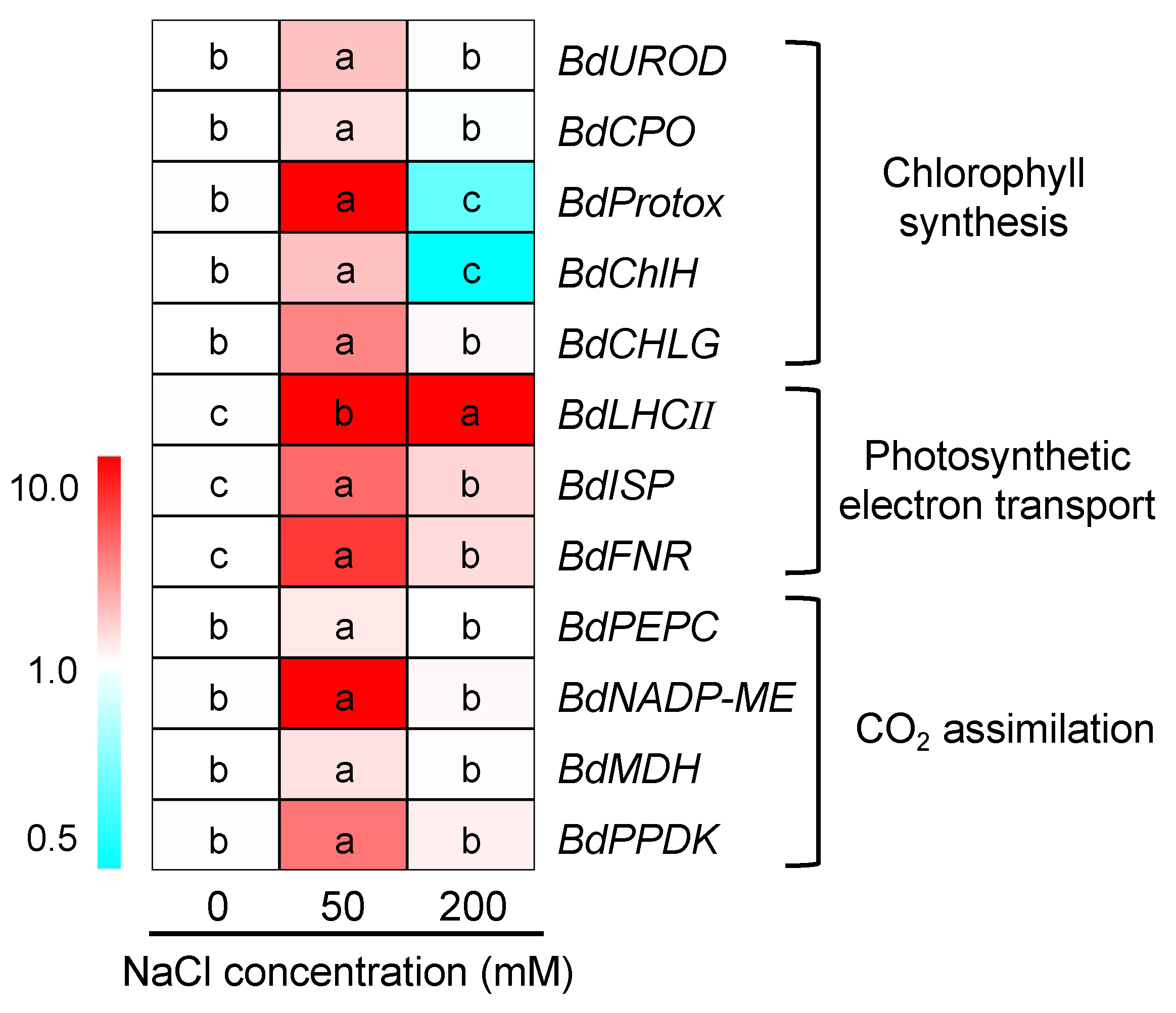 Plants 12 02459 g007 Plants 12 02459 g007