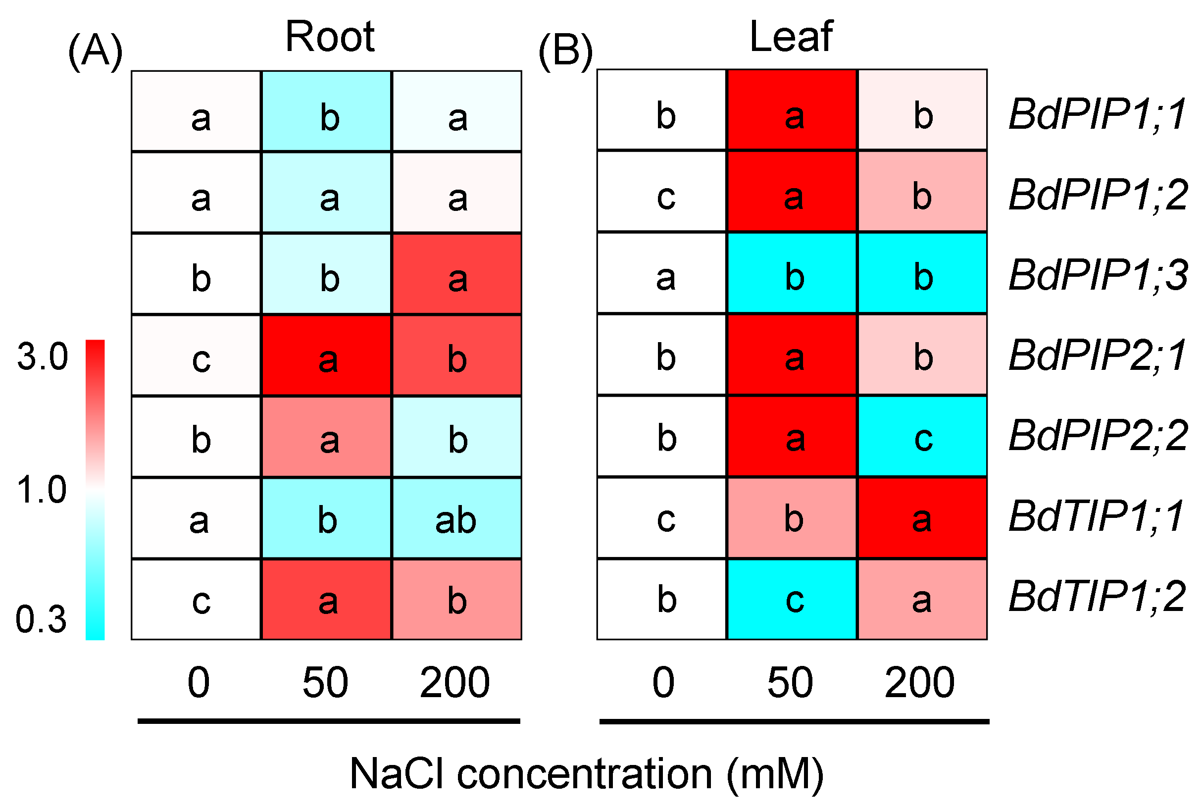 Plants 12 02459 g008 Plants 12 02459 g008