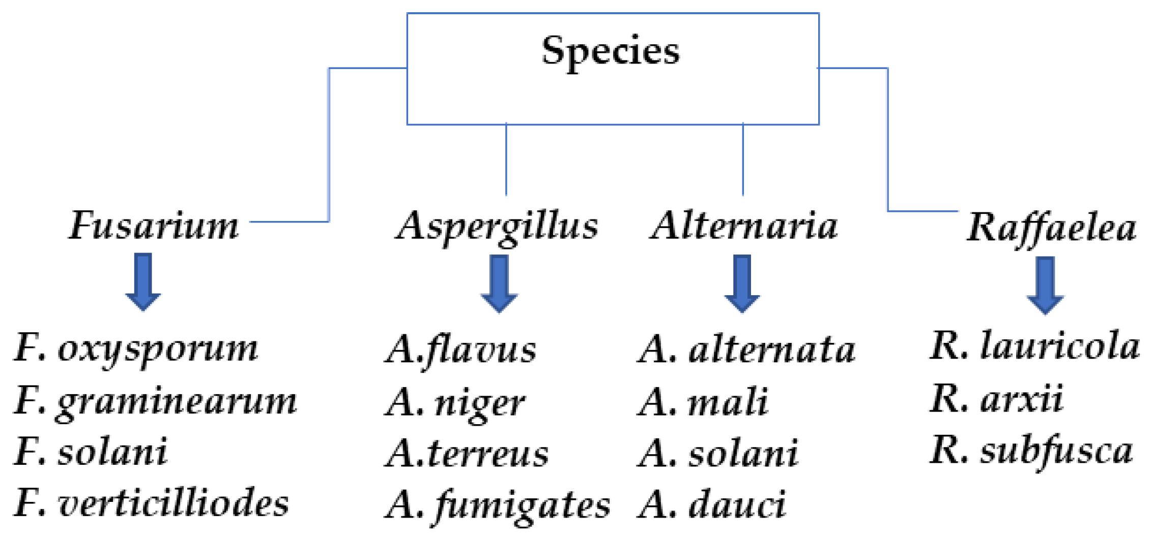 Plants 12 02461 g003 Plants 12 02461 g003