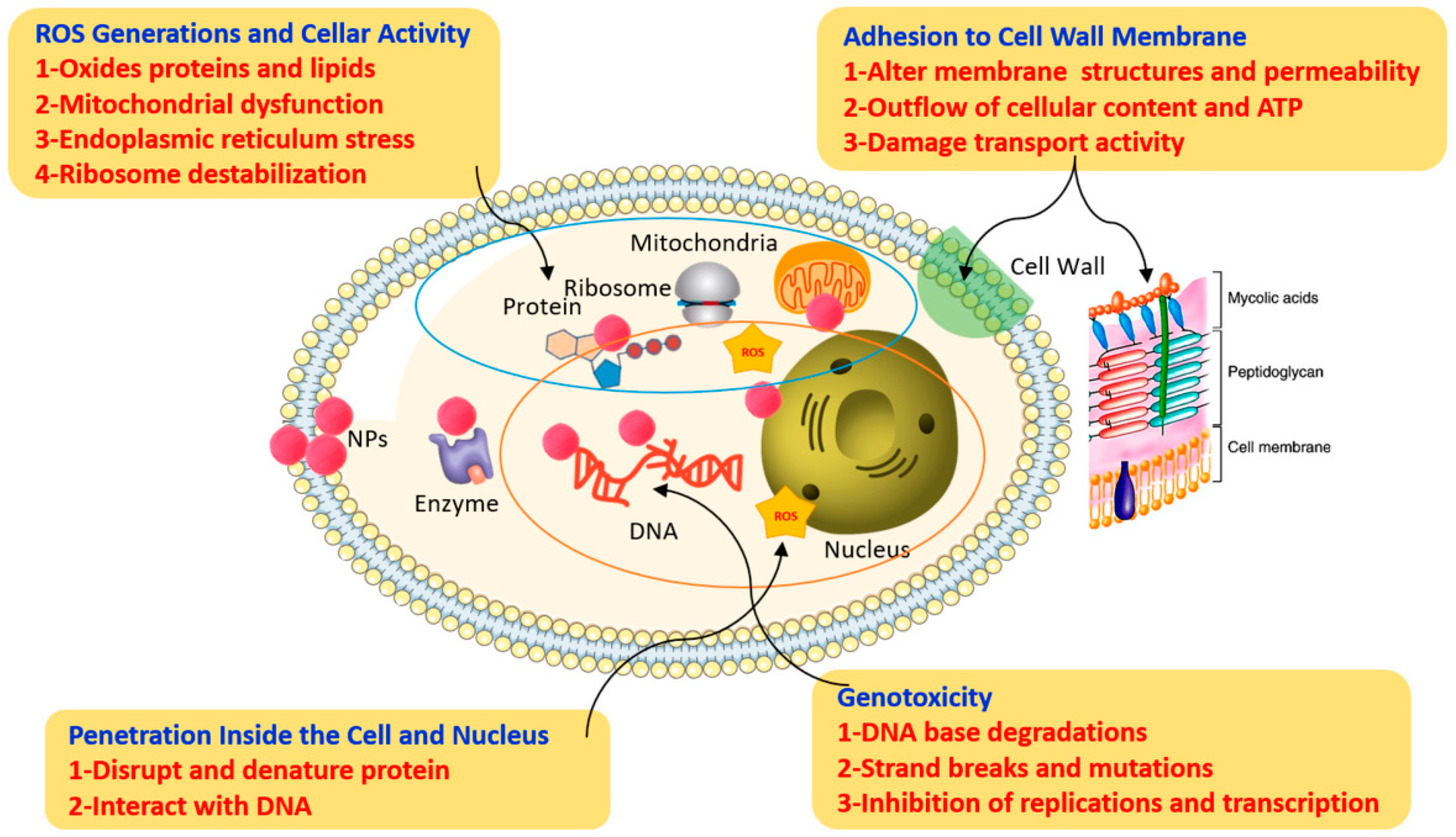 Plants 12 02461 g004 Plants 12 02461 g004