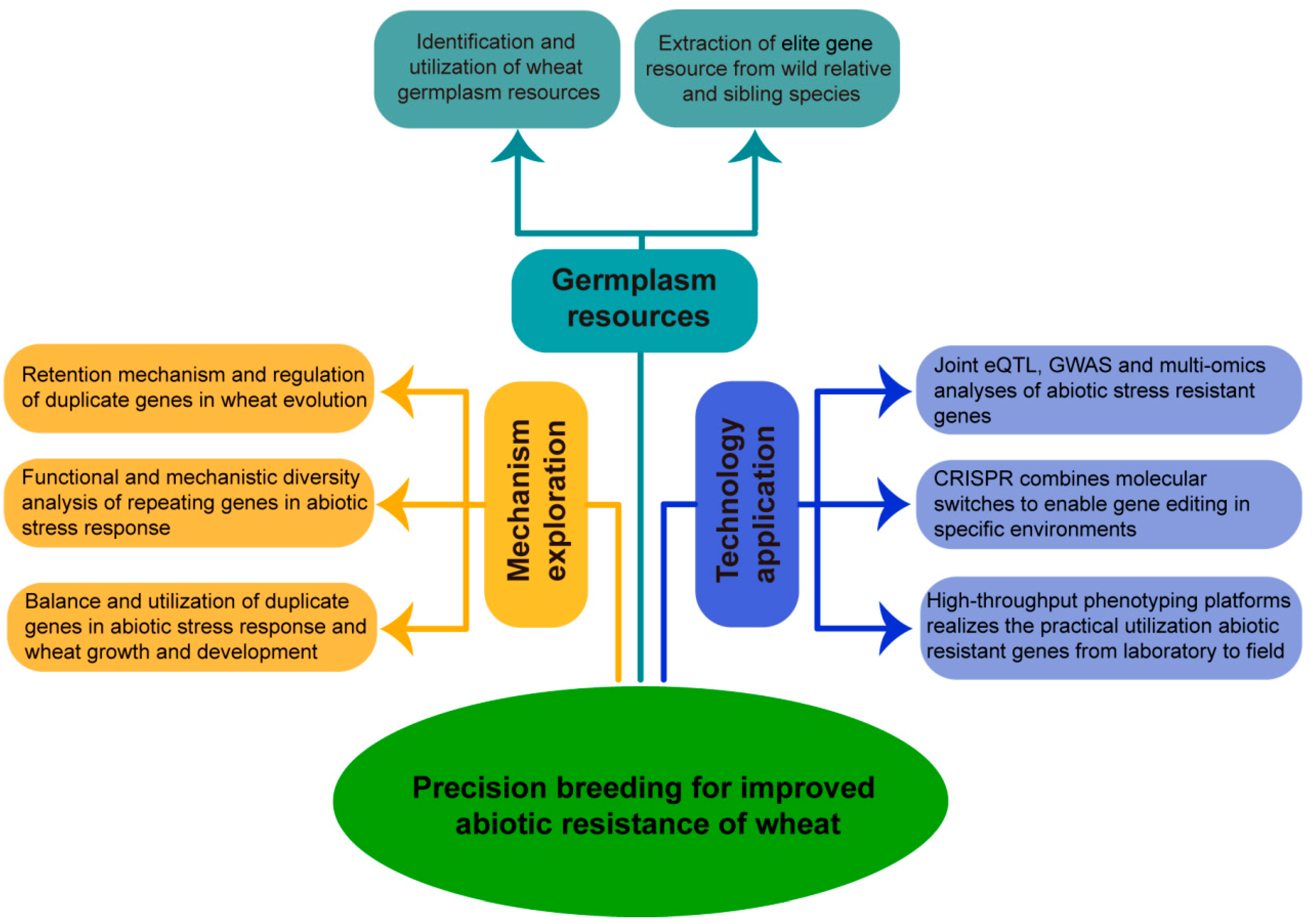 Plants 12 02465 g002 Plants 12 02465 g002