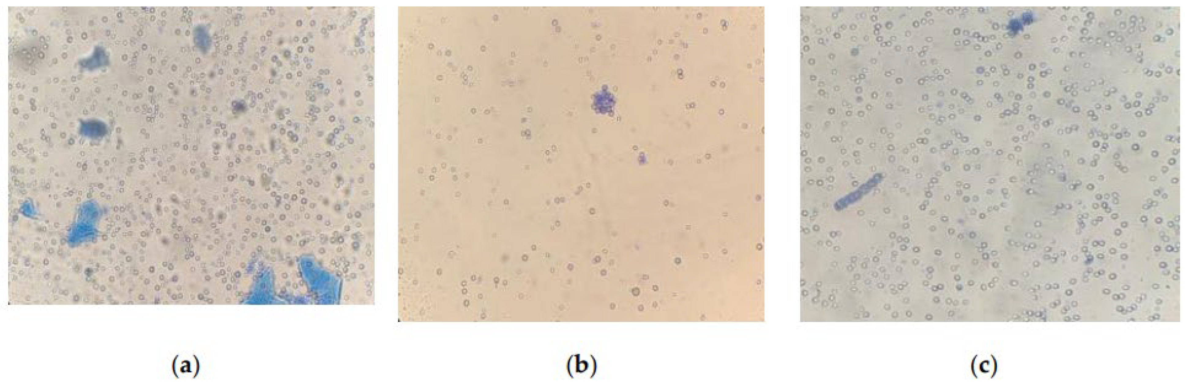 Plants 12 02470 g008a Plants 12 02470 g008a