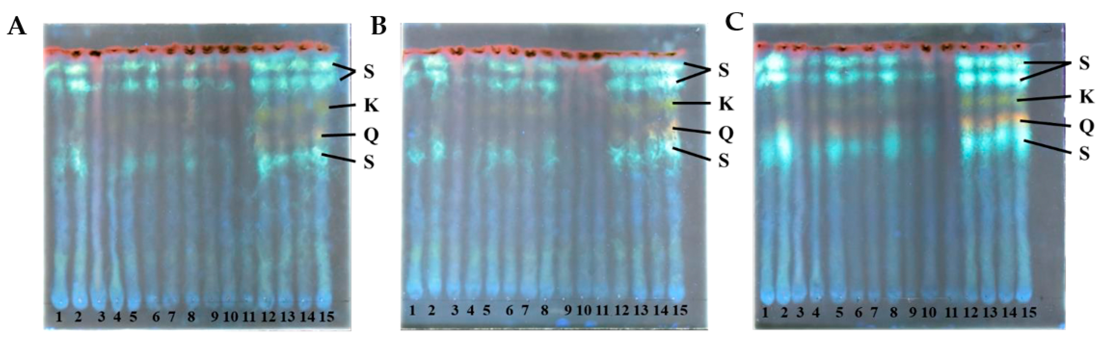 Plants 12 02472 g007 Plants 12 02472 g007