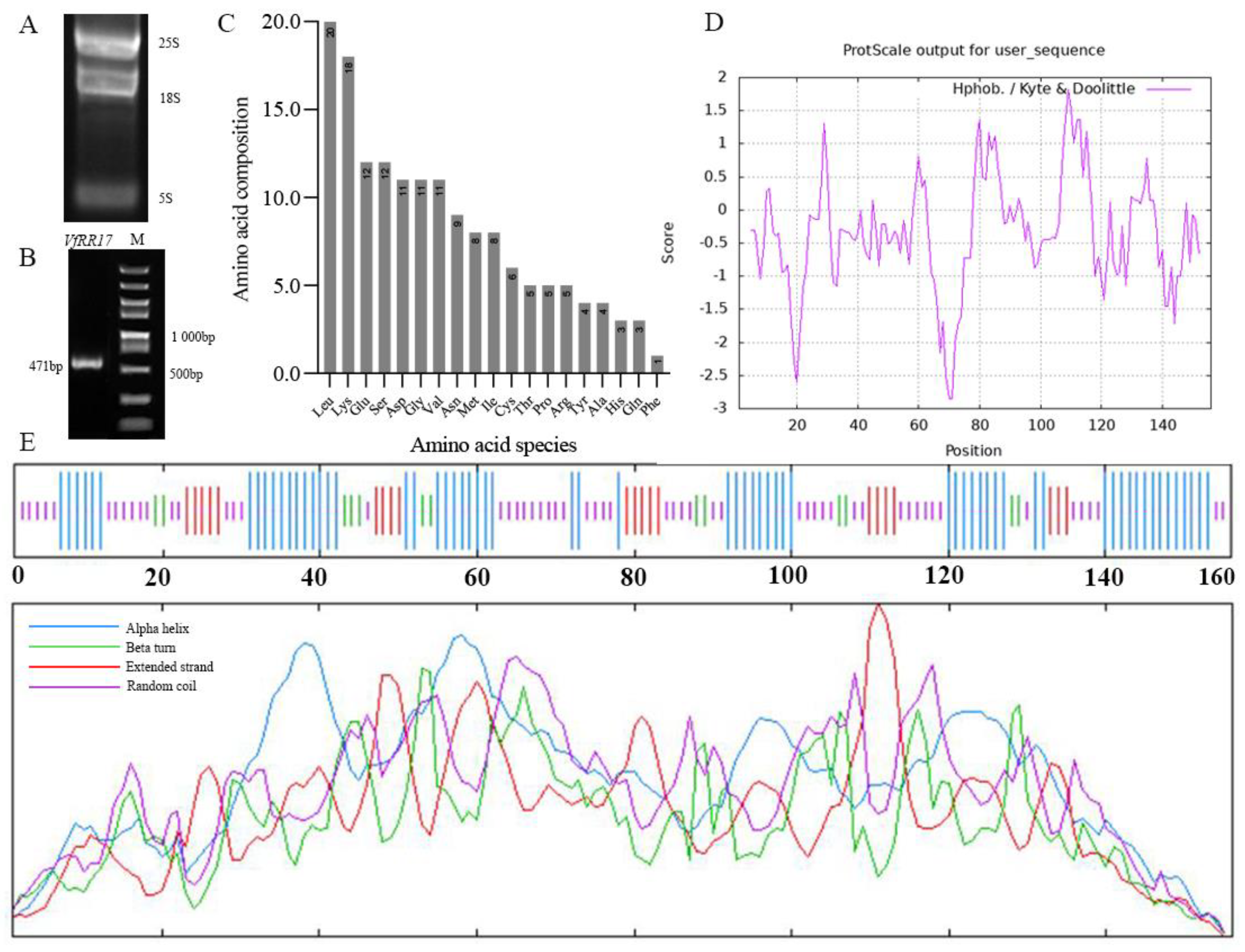 Plants 12 02474 g001