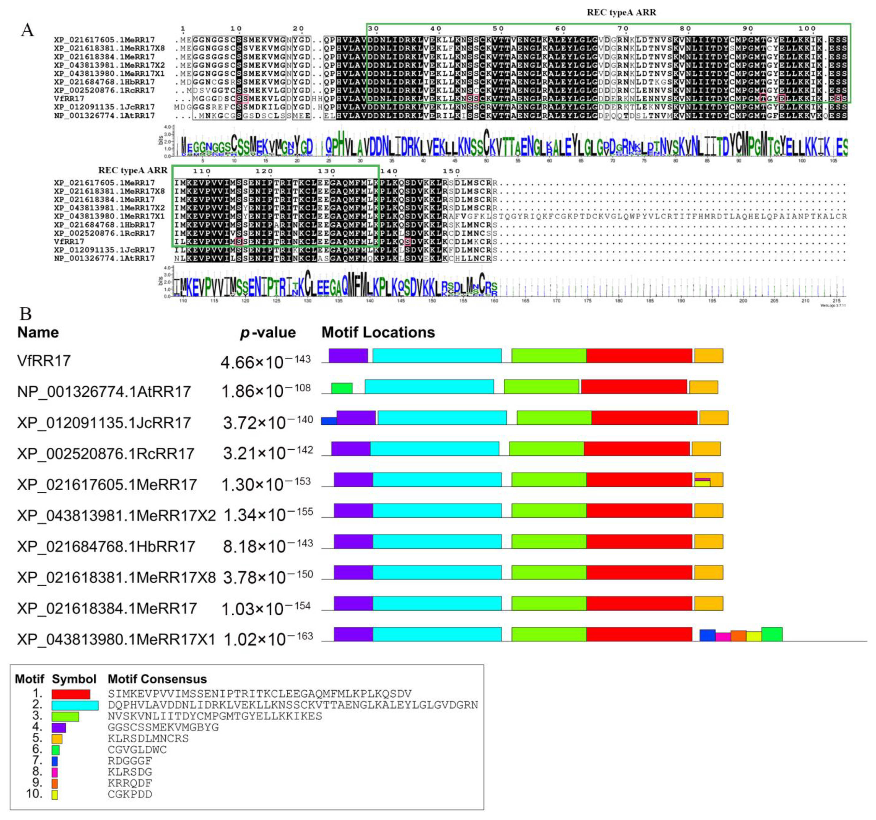 Plants 12 02474 g002