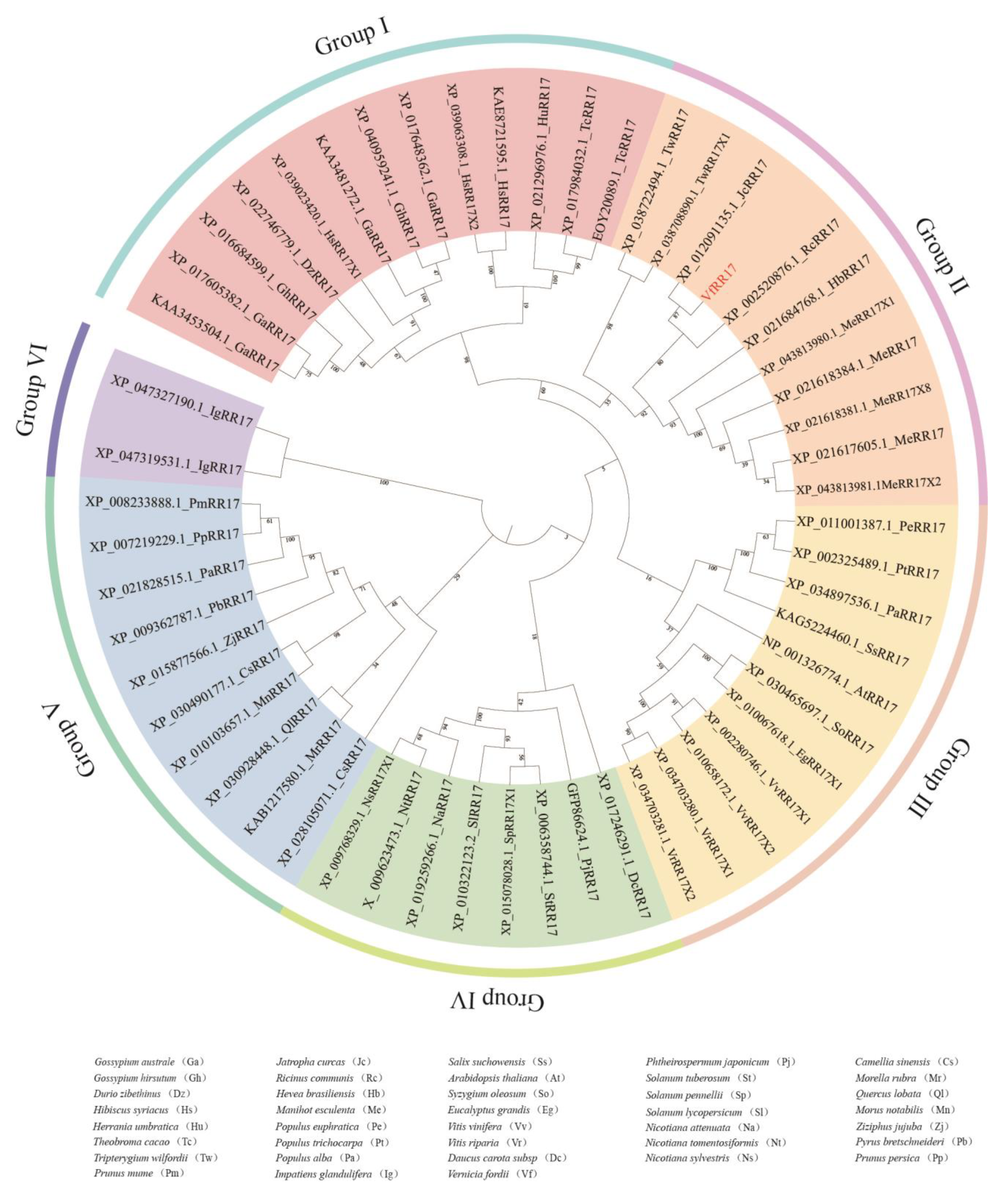 Plants 12 02474 g003