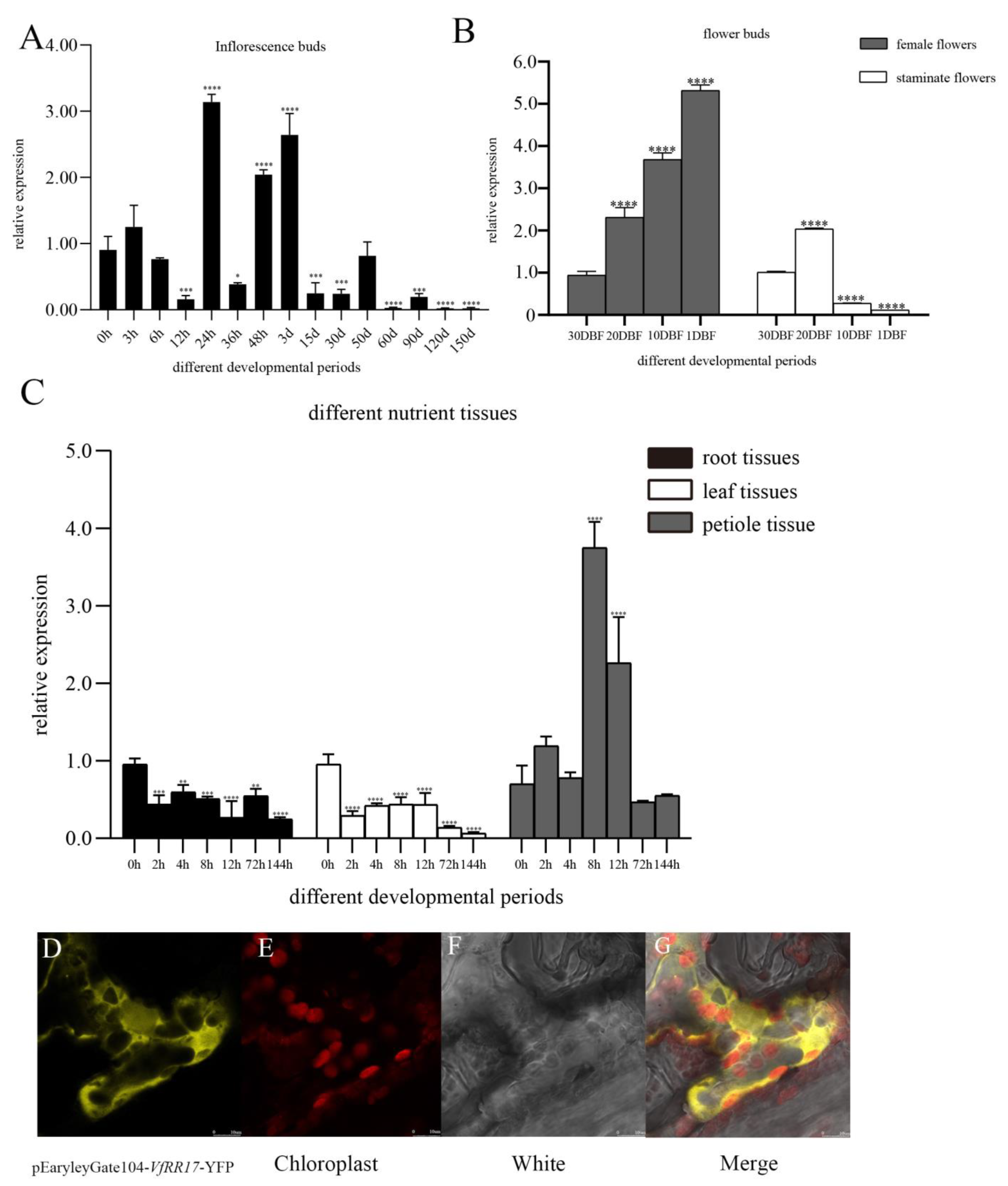 Plants 12 02474 g004