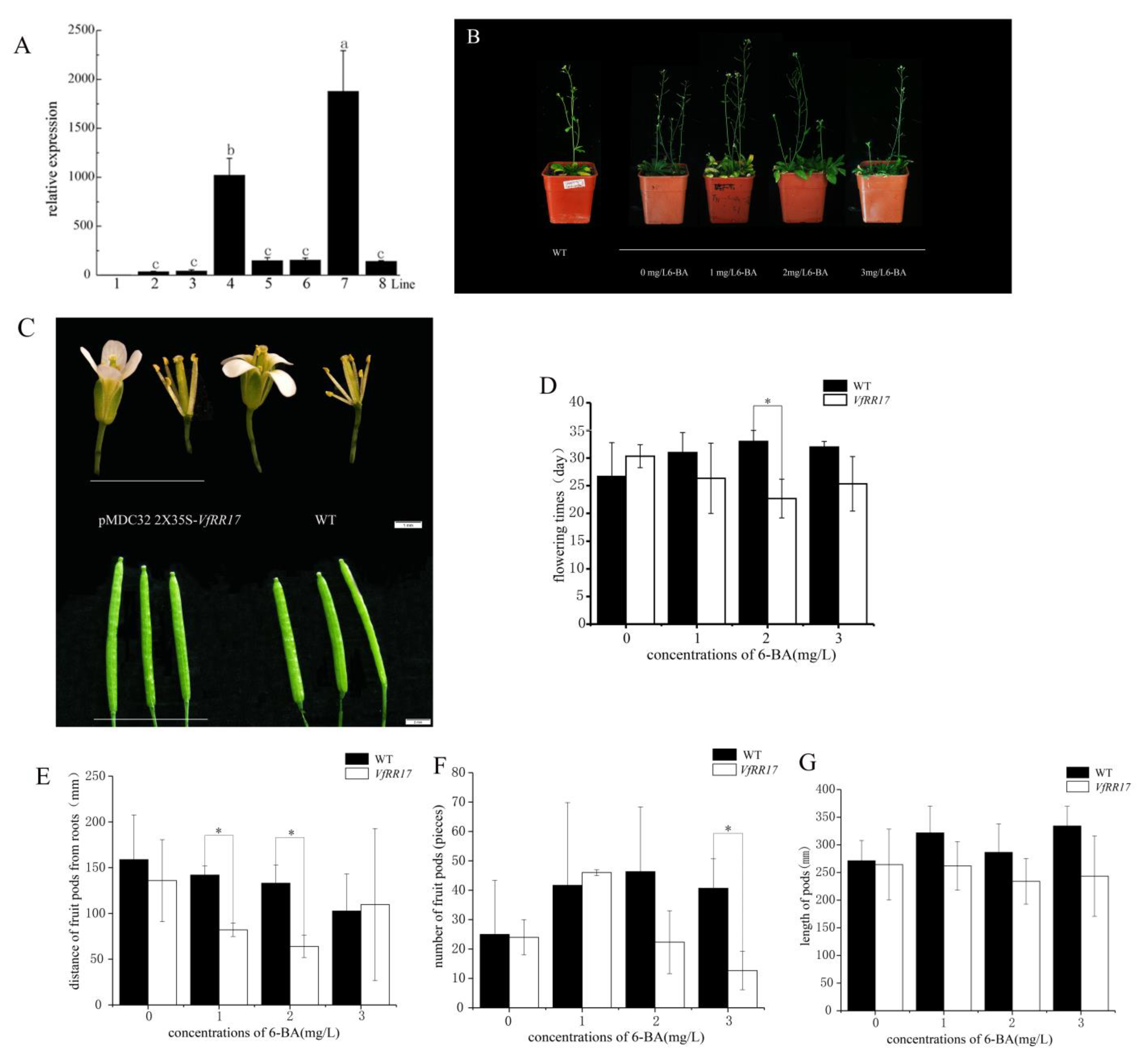 Plants 12 02474 g005
