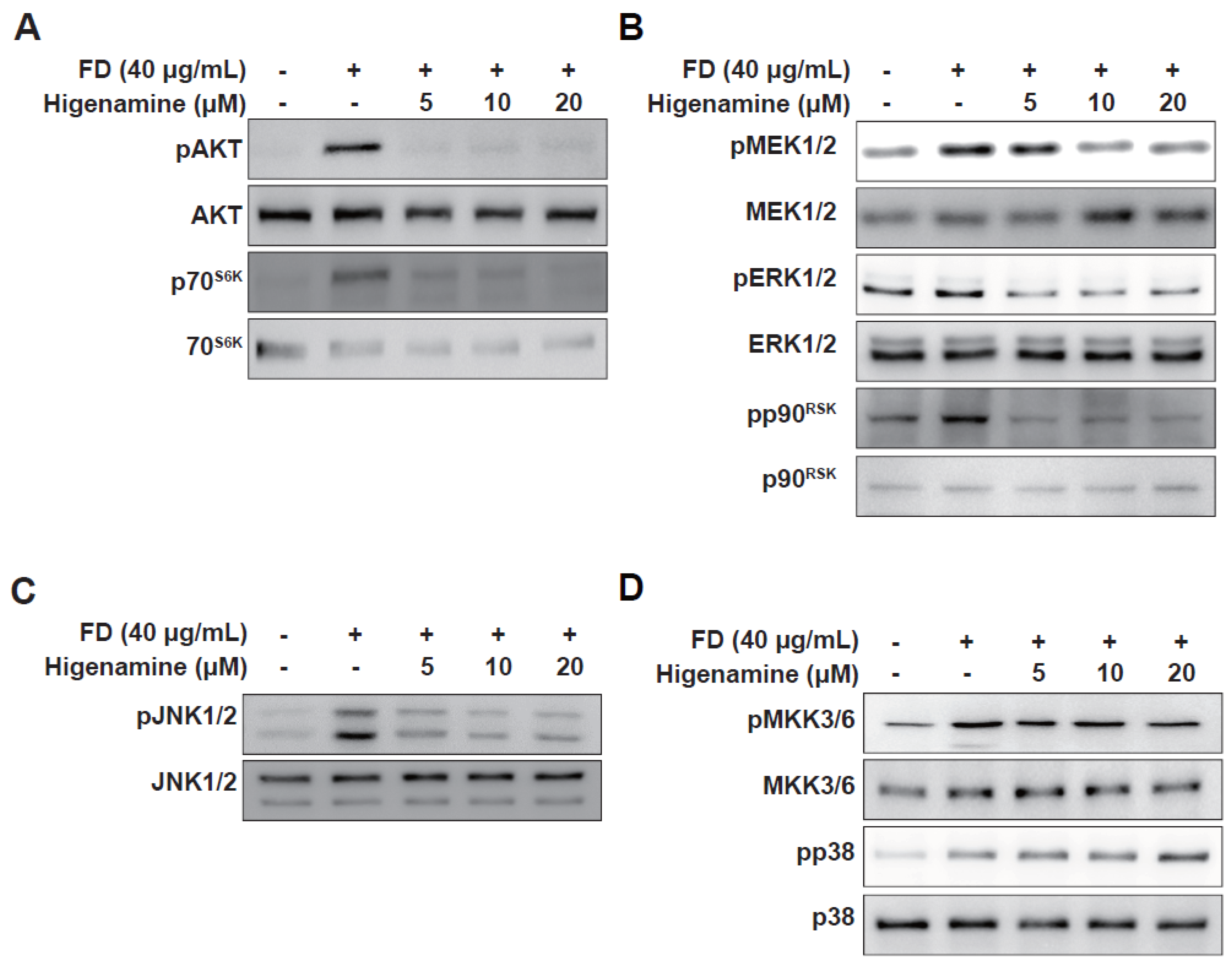 Plants 12 02479 g004 Plants 12 02479 g004