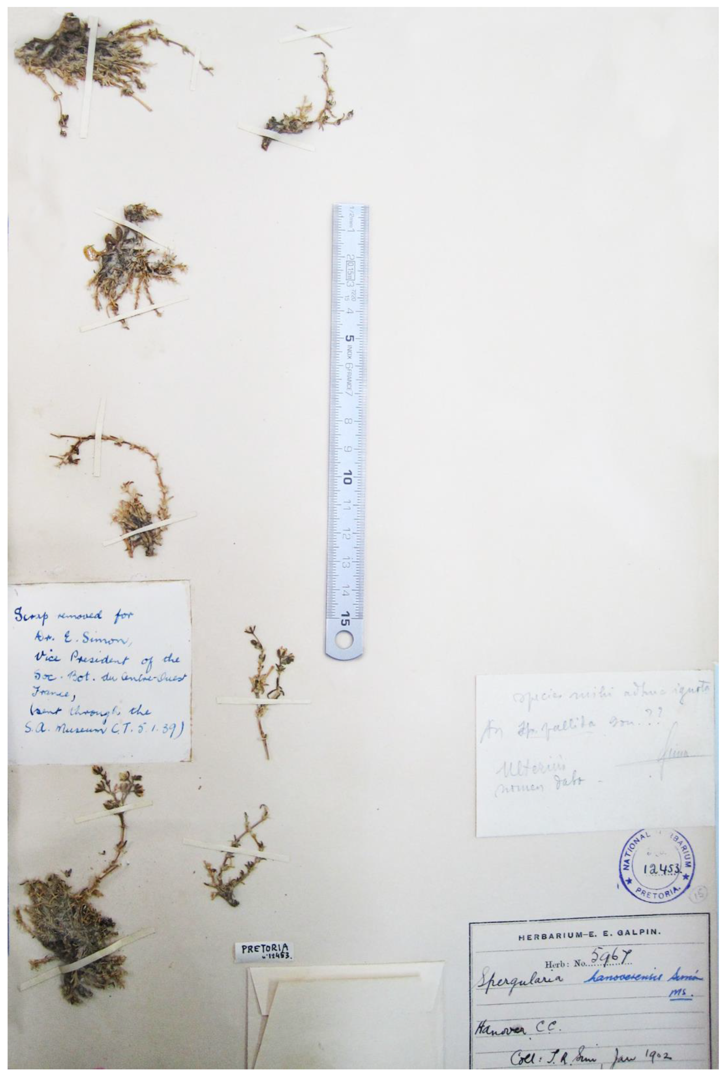 Plants 12 02481 g001 Plants 12 02481 g001