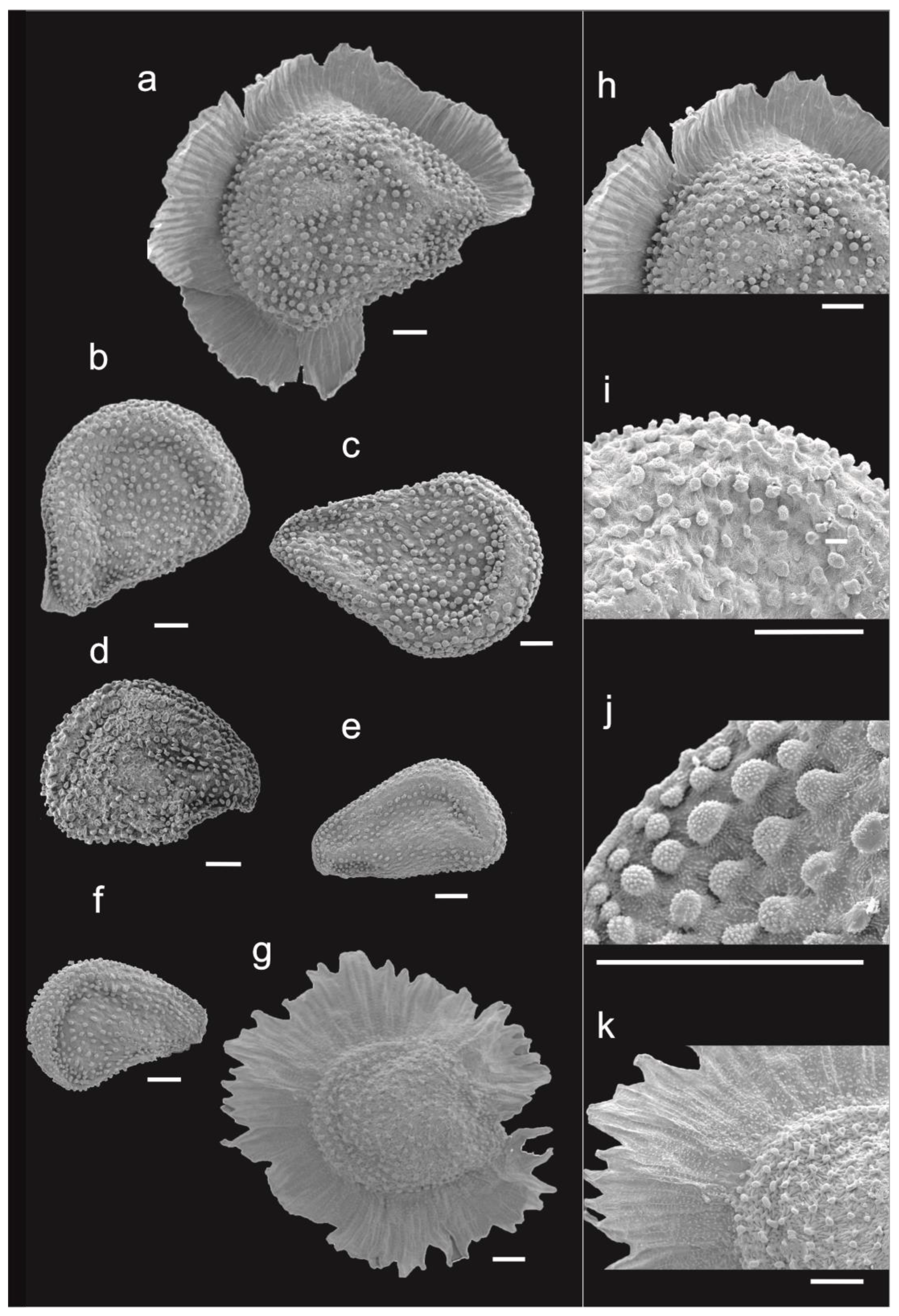 Plants 12 02481 g006 Plants 12 02481 g006