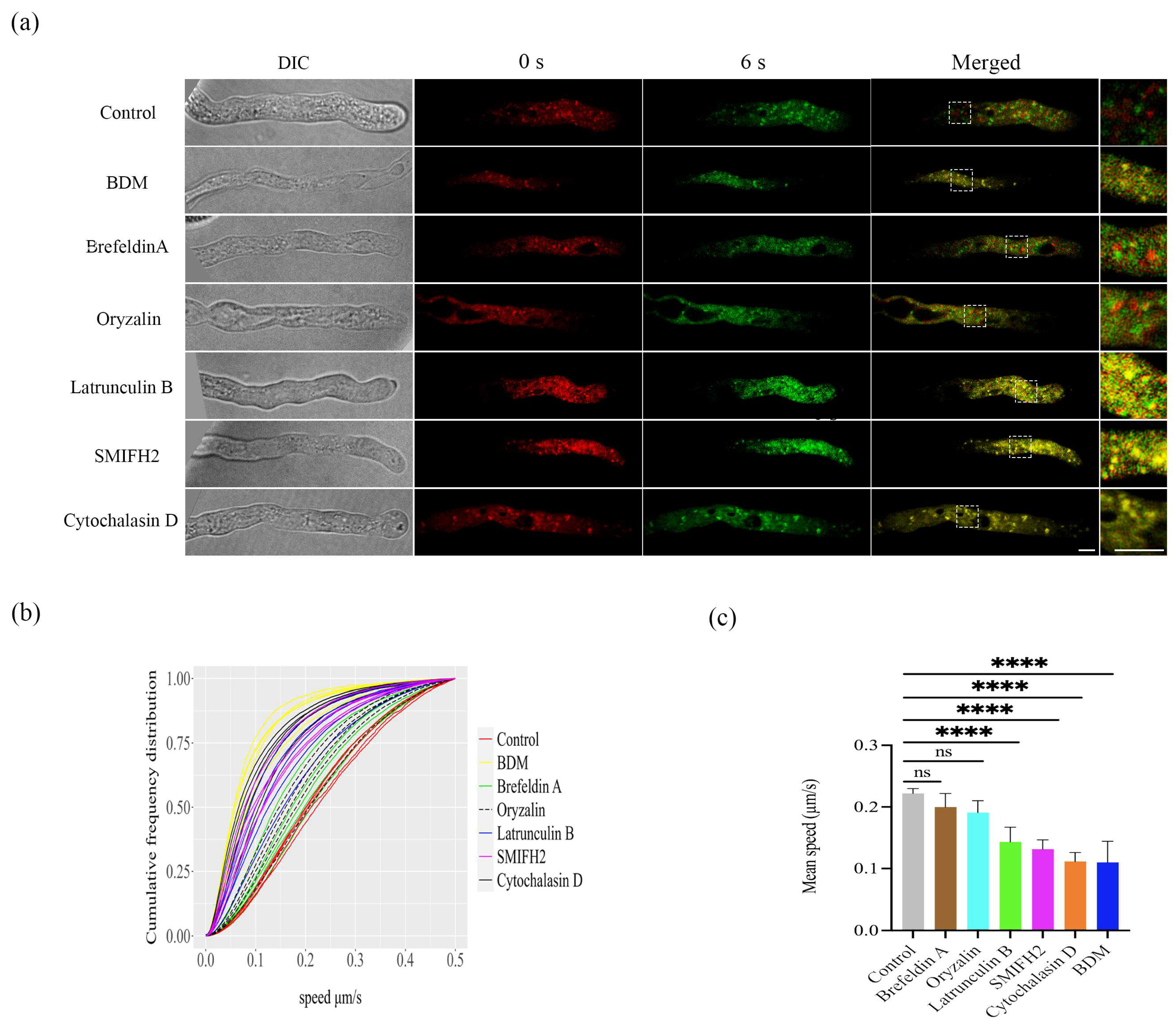 Plants 12 02489 g001 Plants 12 02489 g001