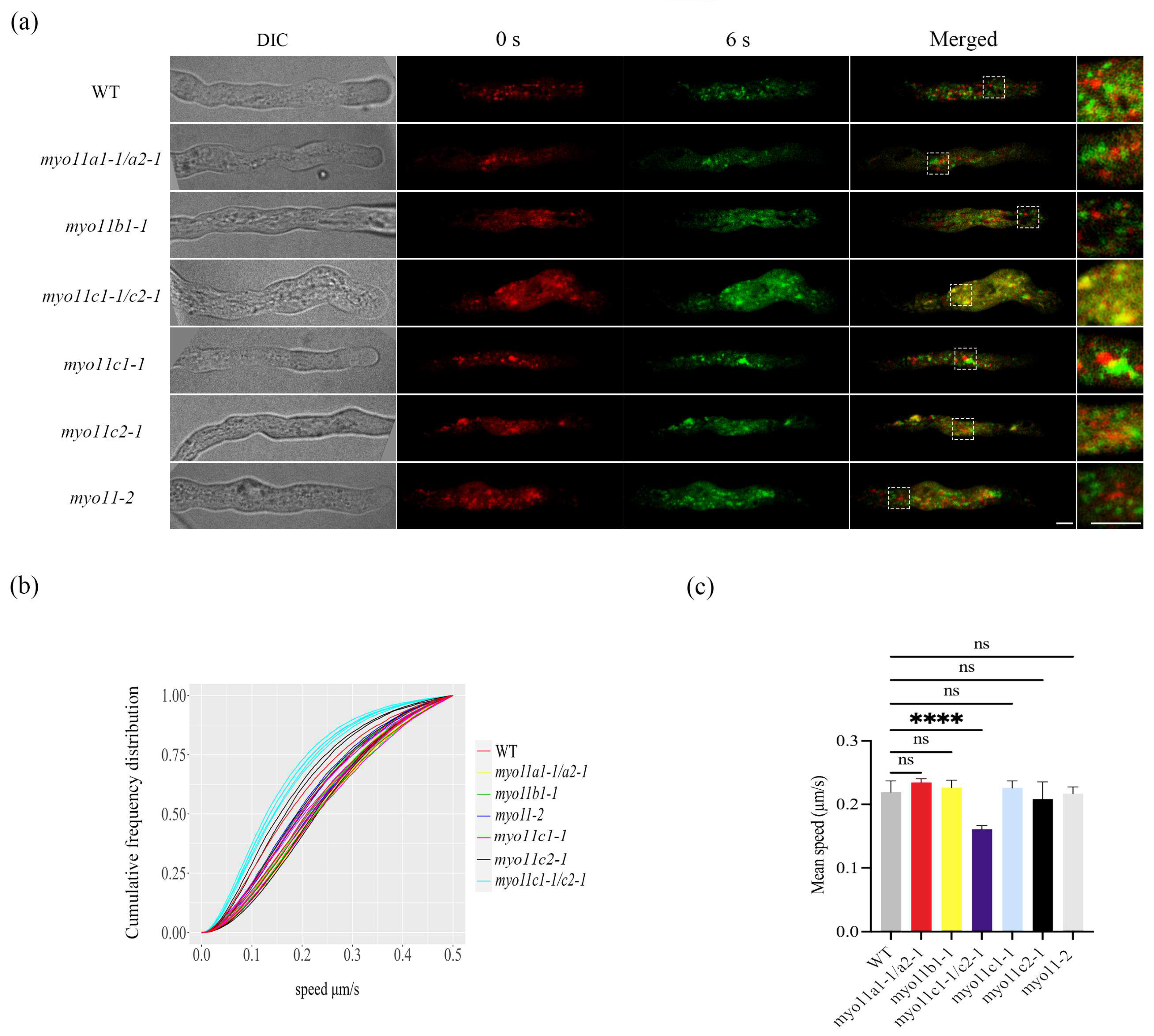 Plants 12 02489 g002 Plants 12 02489 g002