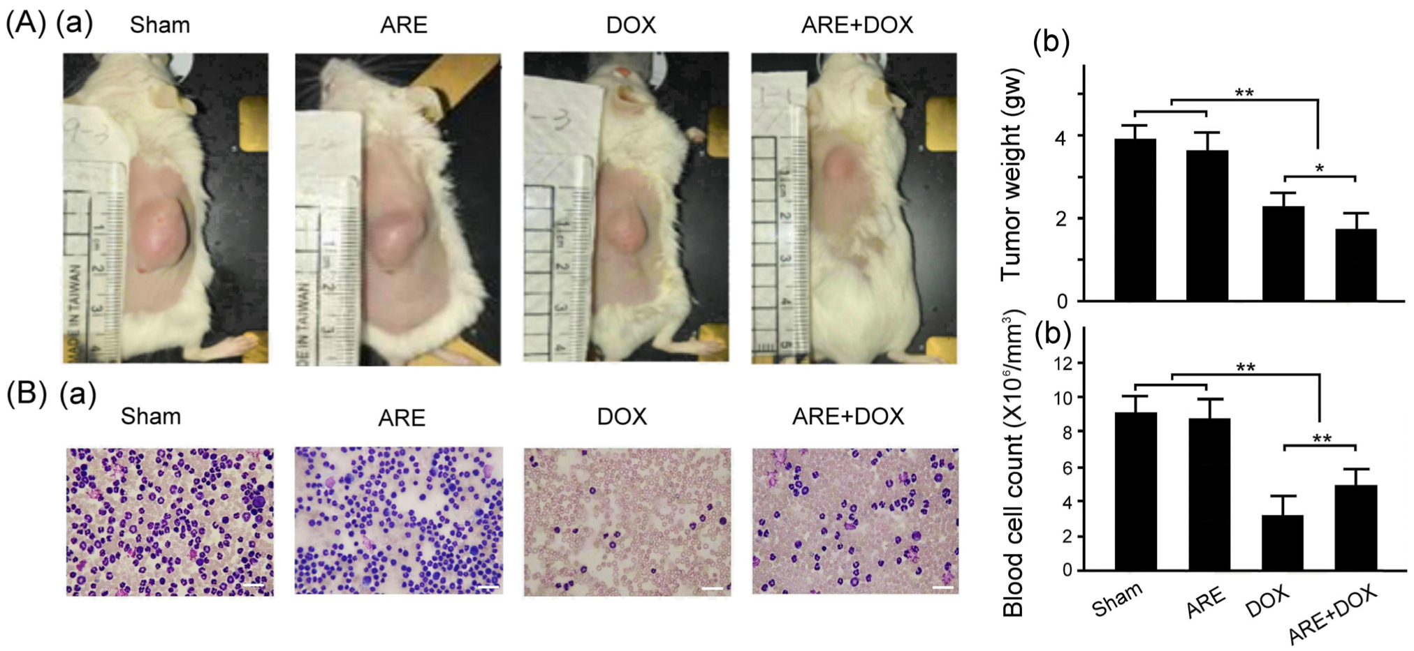 Plants 12 02494 g007