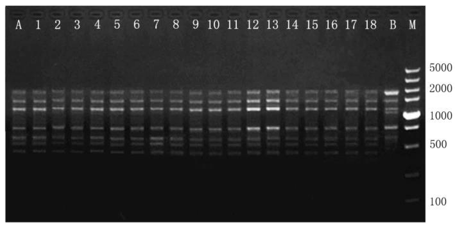 Plants 12 02500 g004