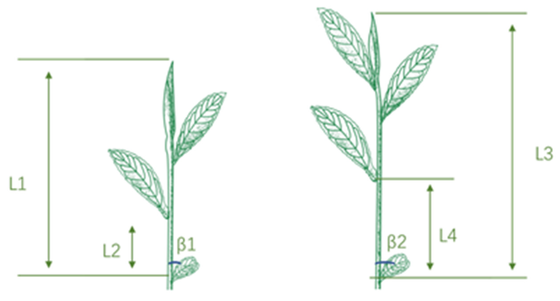 Plants 12 02508 g002 Plants 12 02508 g002