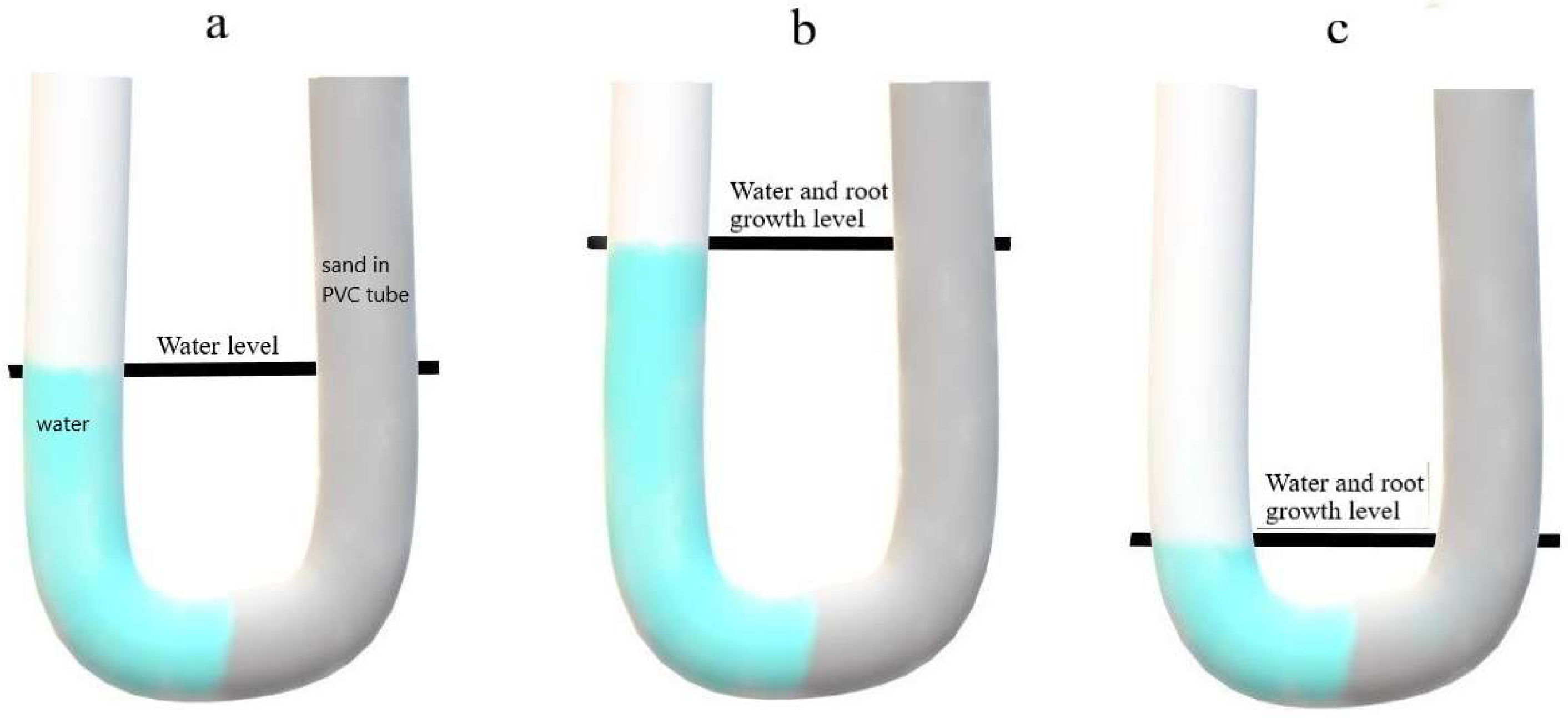 Plants 12 02513 g005