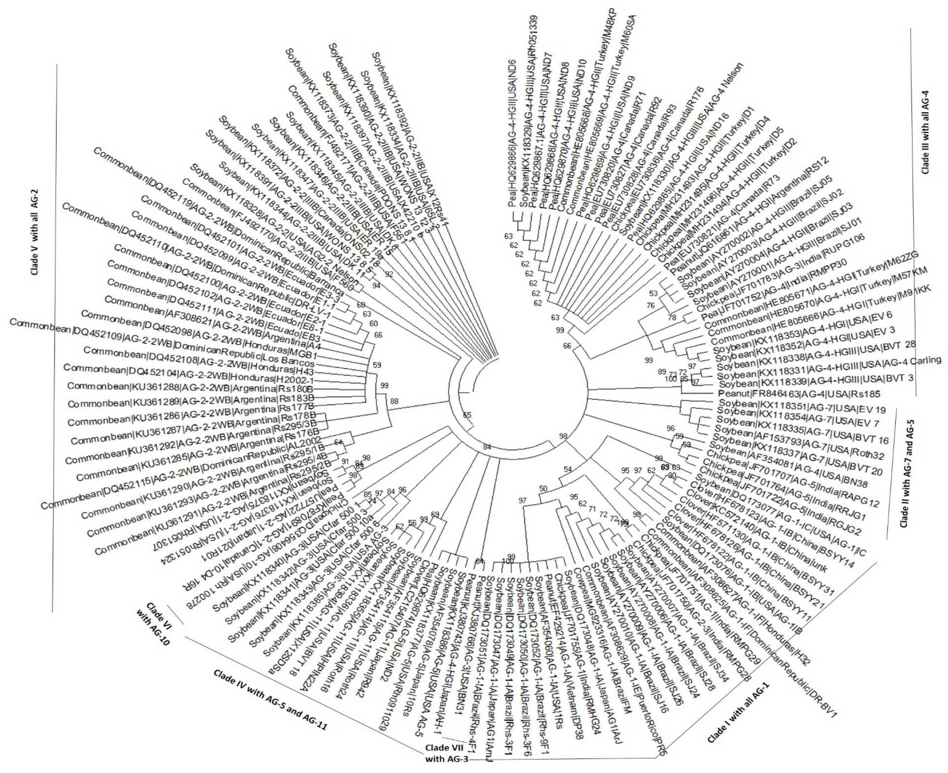 Plants 12 02515 g004 Plants 12 02515 g004