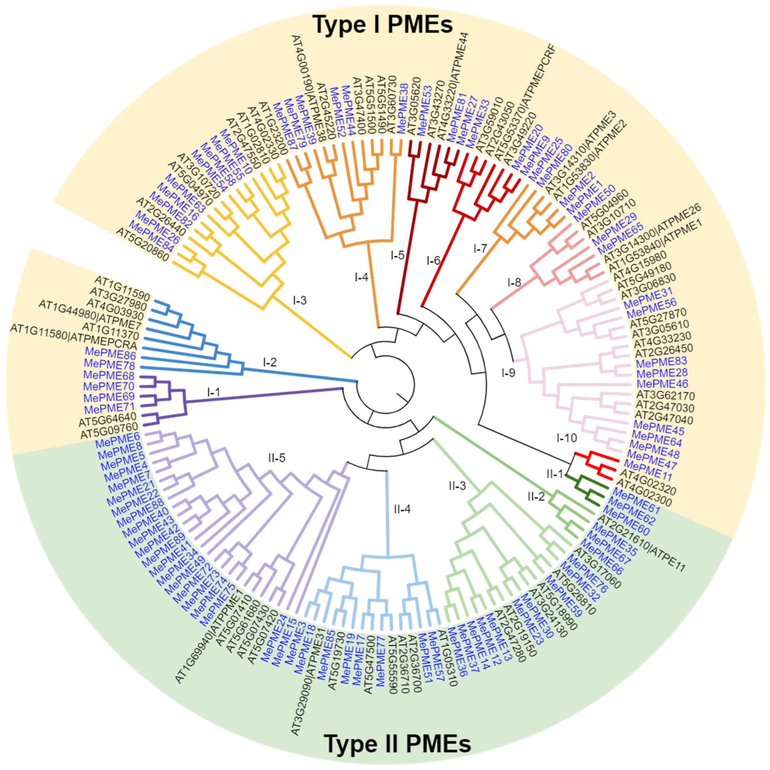 Plants 12 02529 g003 Plants 12 02529 g003