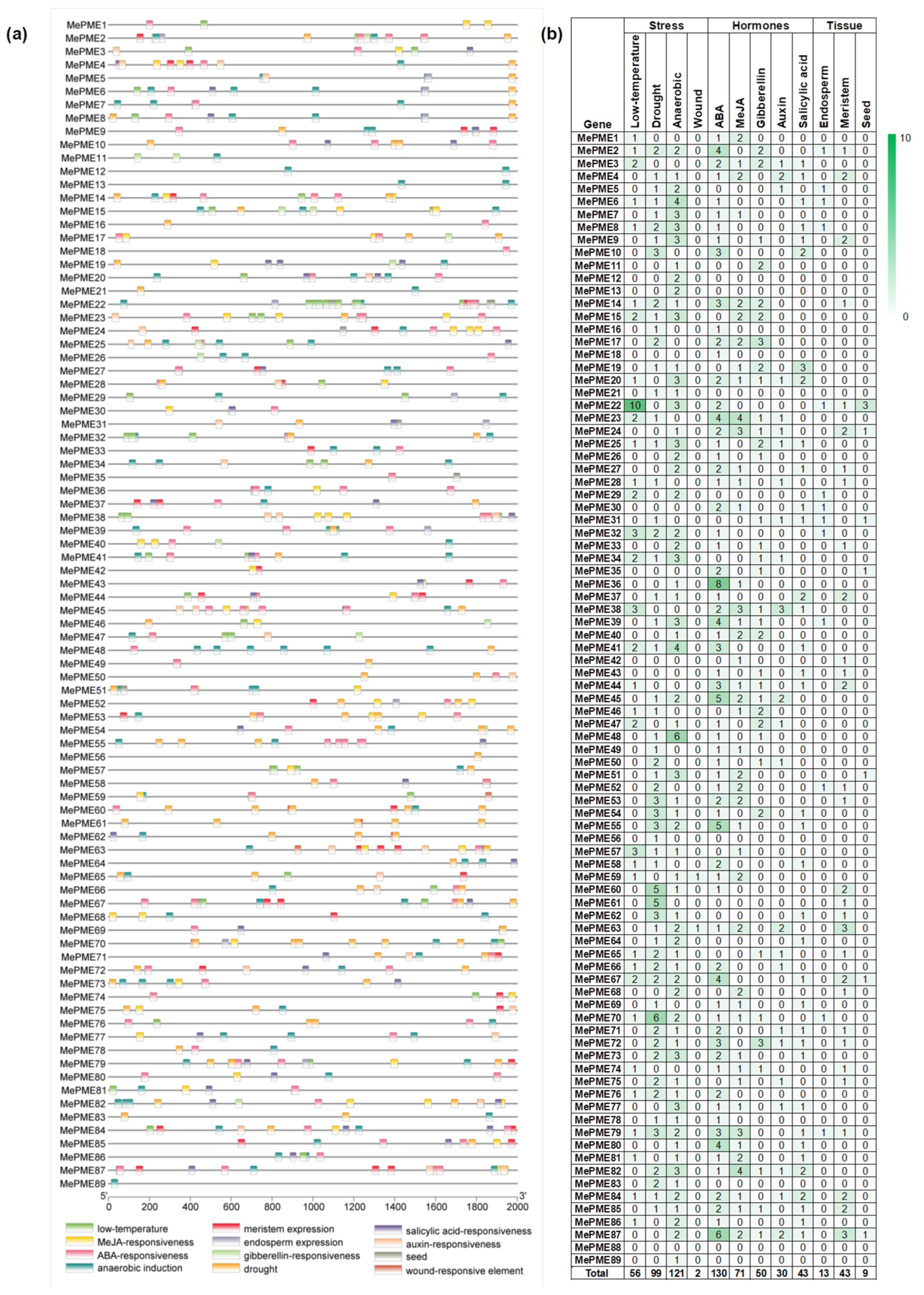 Plants 12 02529 g007 Plants 12 02529 g007