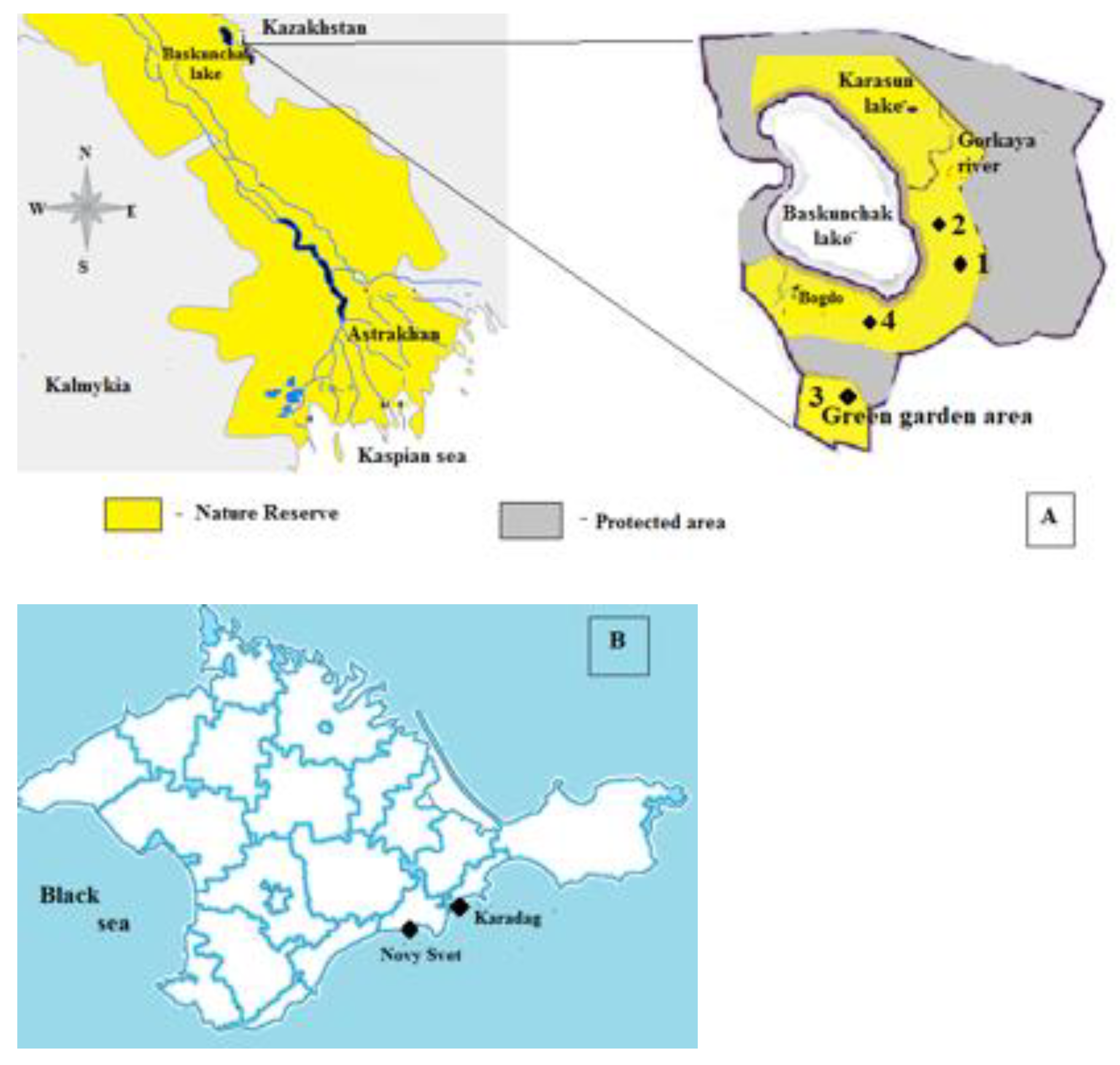Plants 12 02530 g007 Plants 12 02530 g007