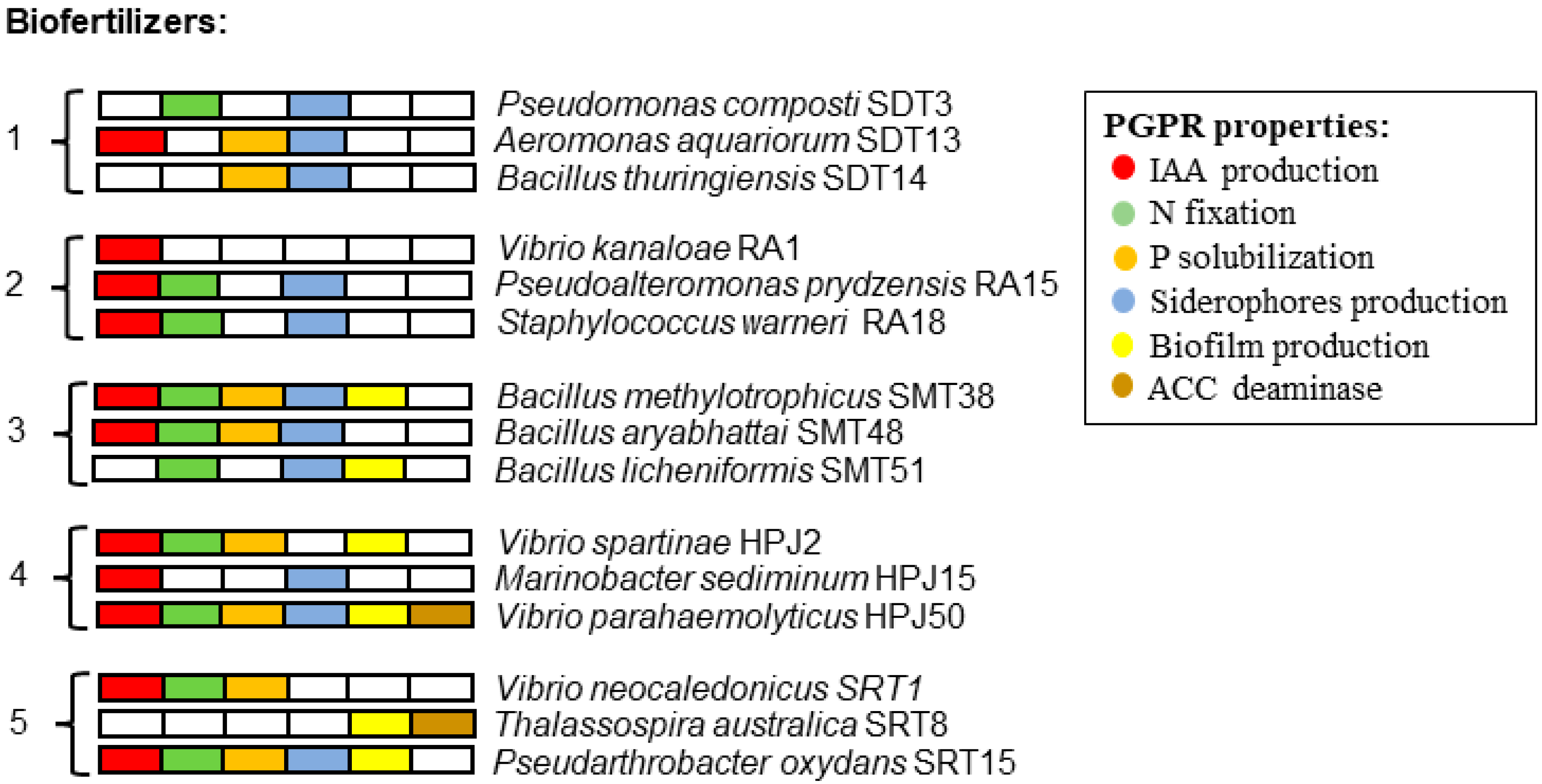 Plants 12 02532 g001