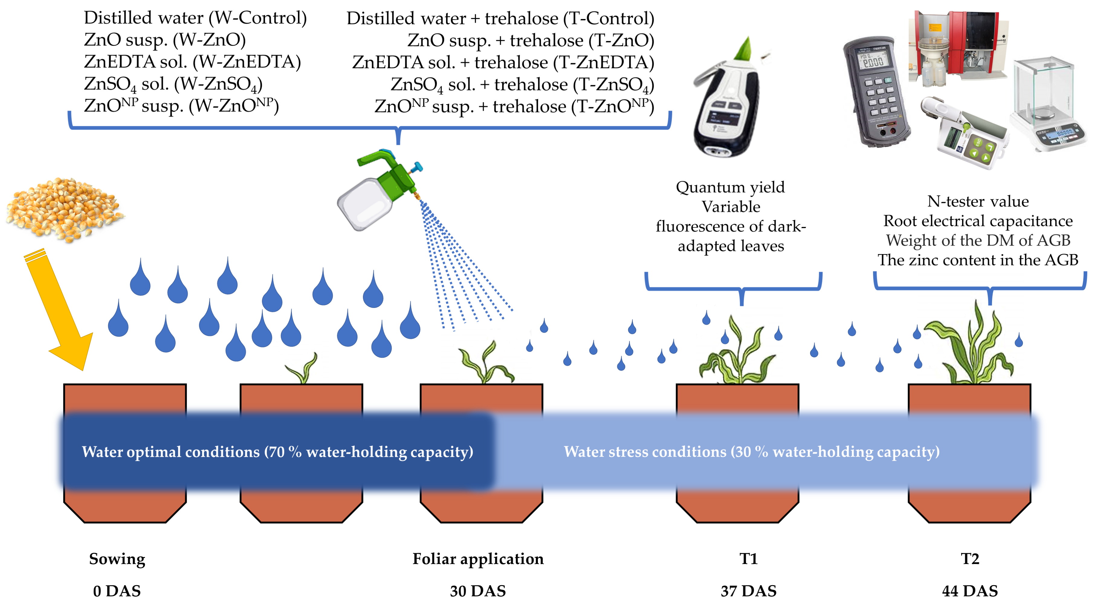 Plants 12 02539 g001