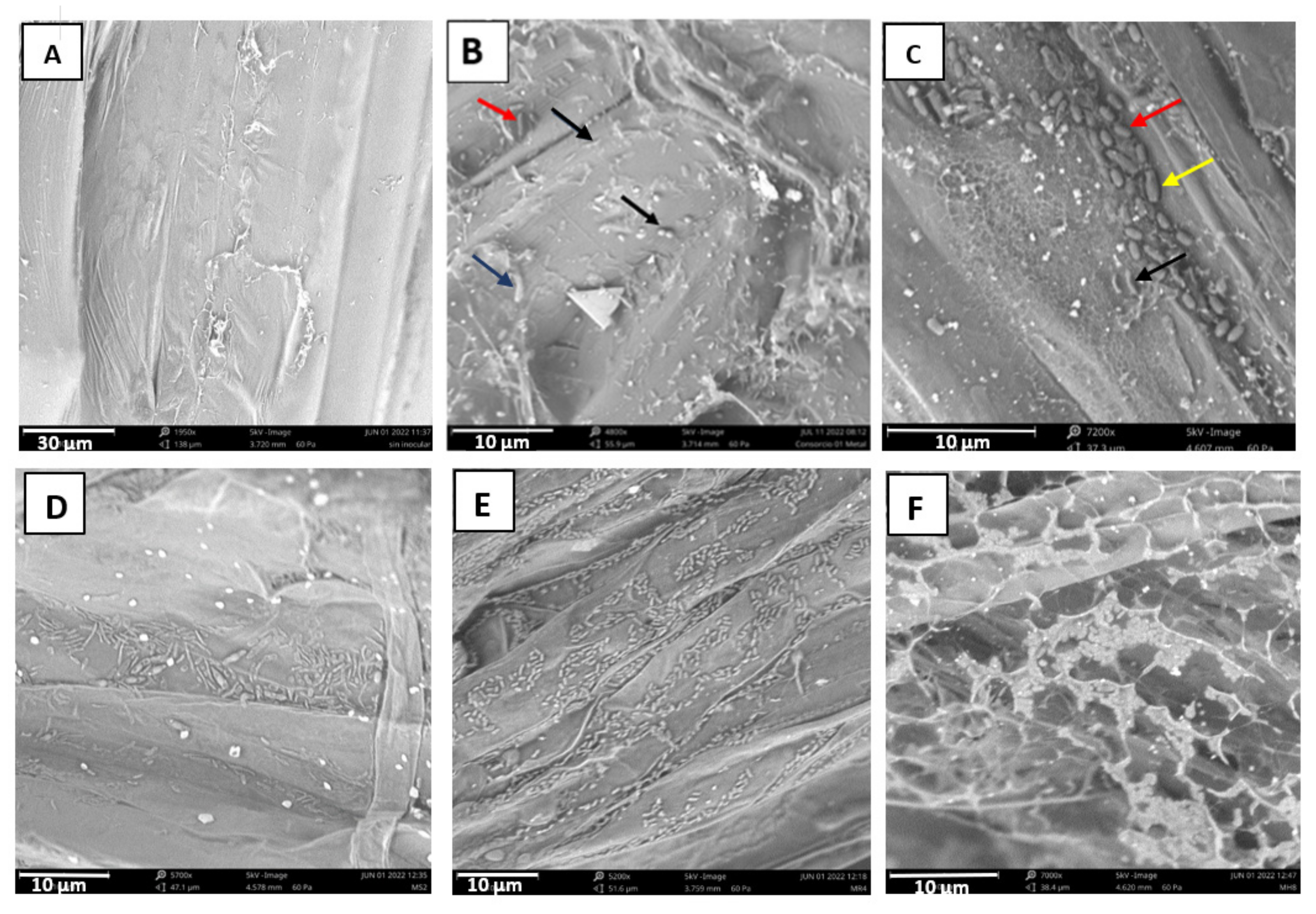 Plants 12 02545 g006