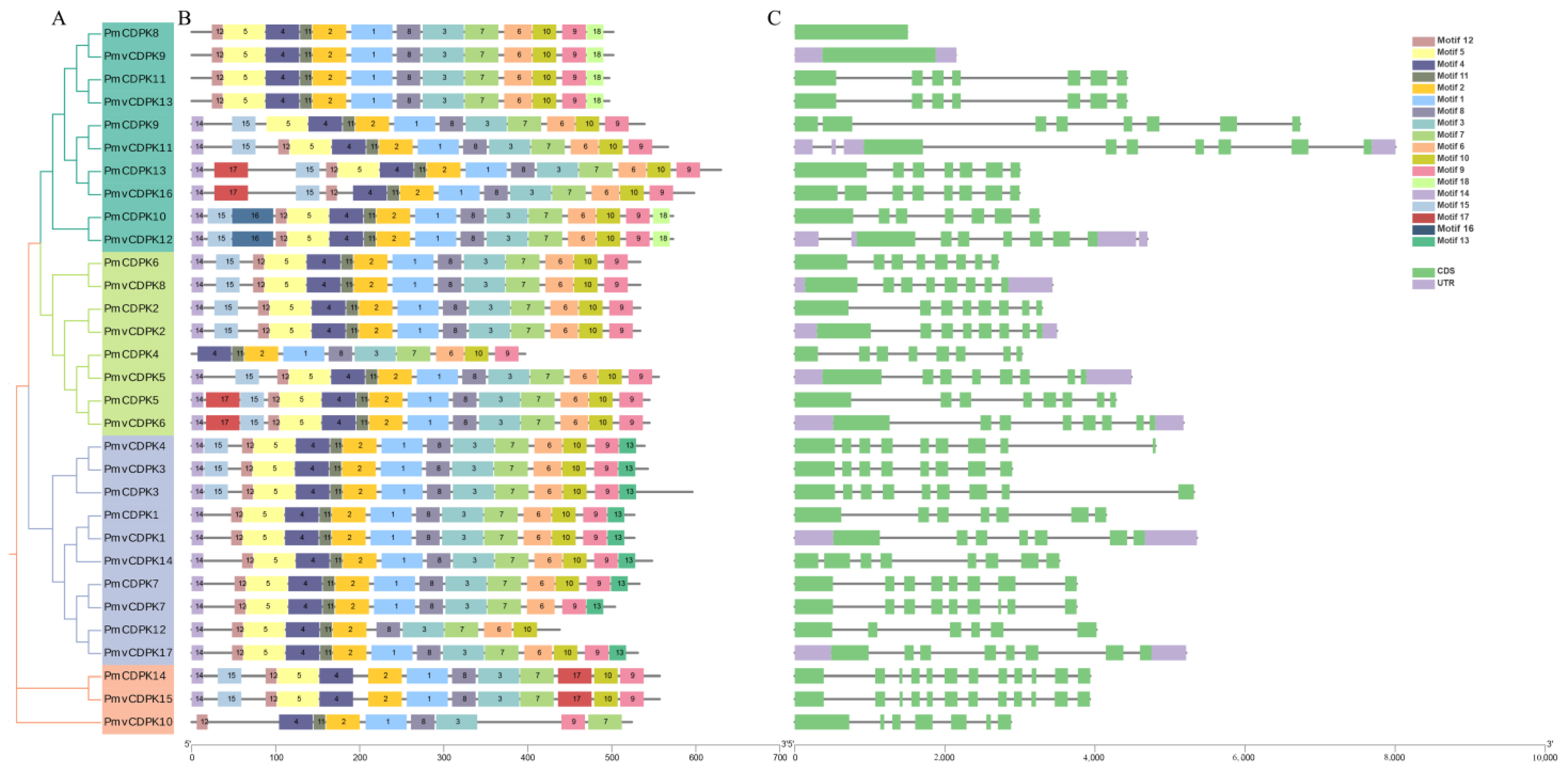 Plants 12 02548 g002 Plants 12 02548 g002
