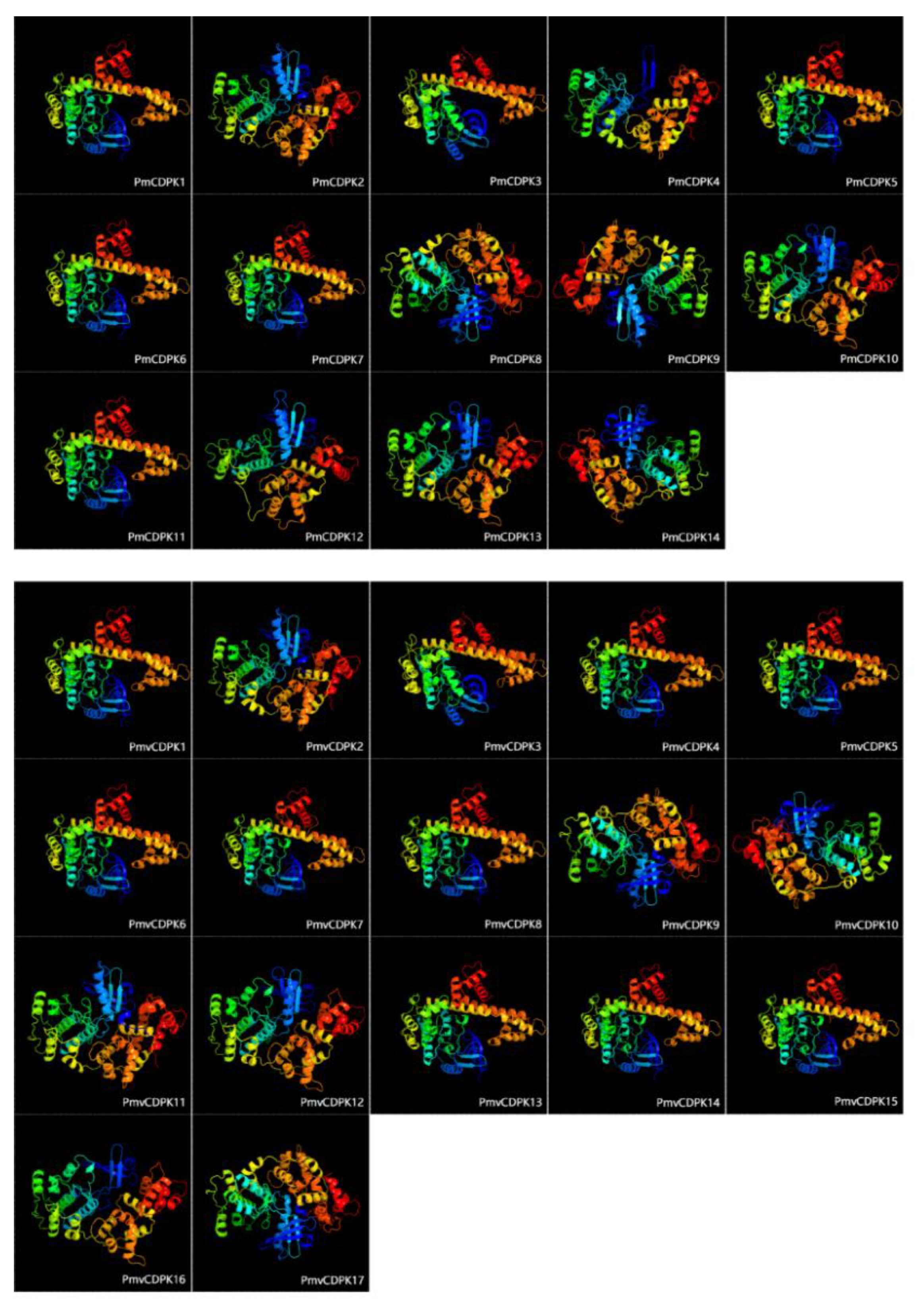 Plants 12 02548 g003 Plants 12 02548 g003