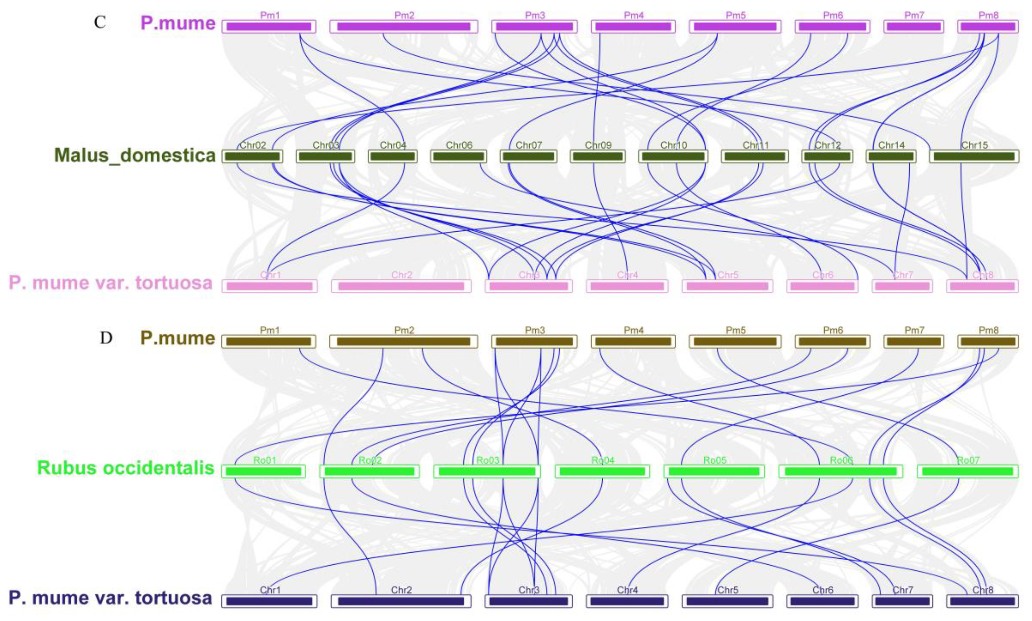 Plants 12 02548 g006b Plants 12 02548 g006b