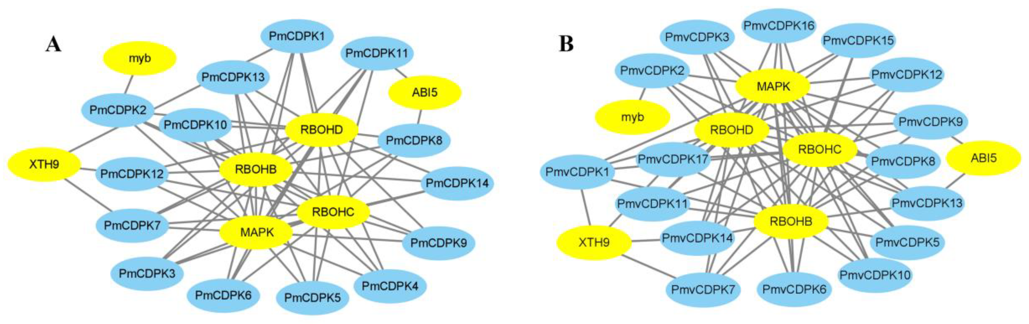 Plants 12 02548 g008 Plants 12 02548 g008