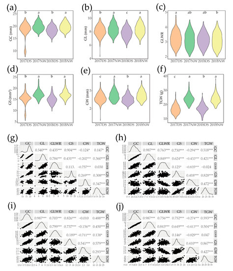 Genome-Wide Association Study of Xian Rice Grain Shape and