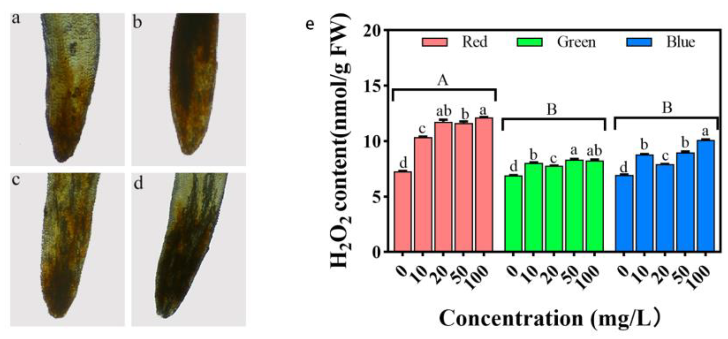 Plants 12 02554 g012 Plants 12 02554 g012