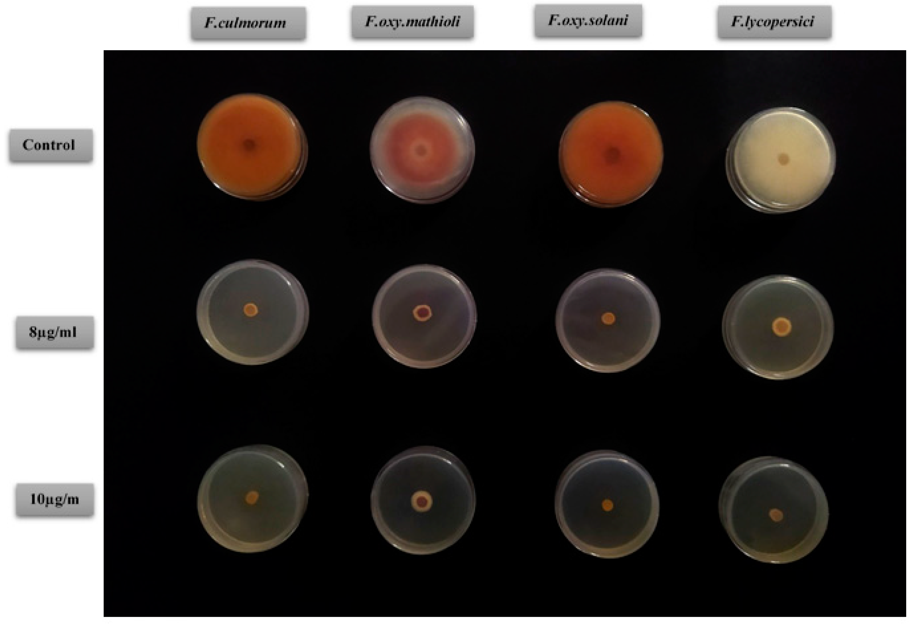 Plants 12 02556 g008 Plants 12 02556 g008