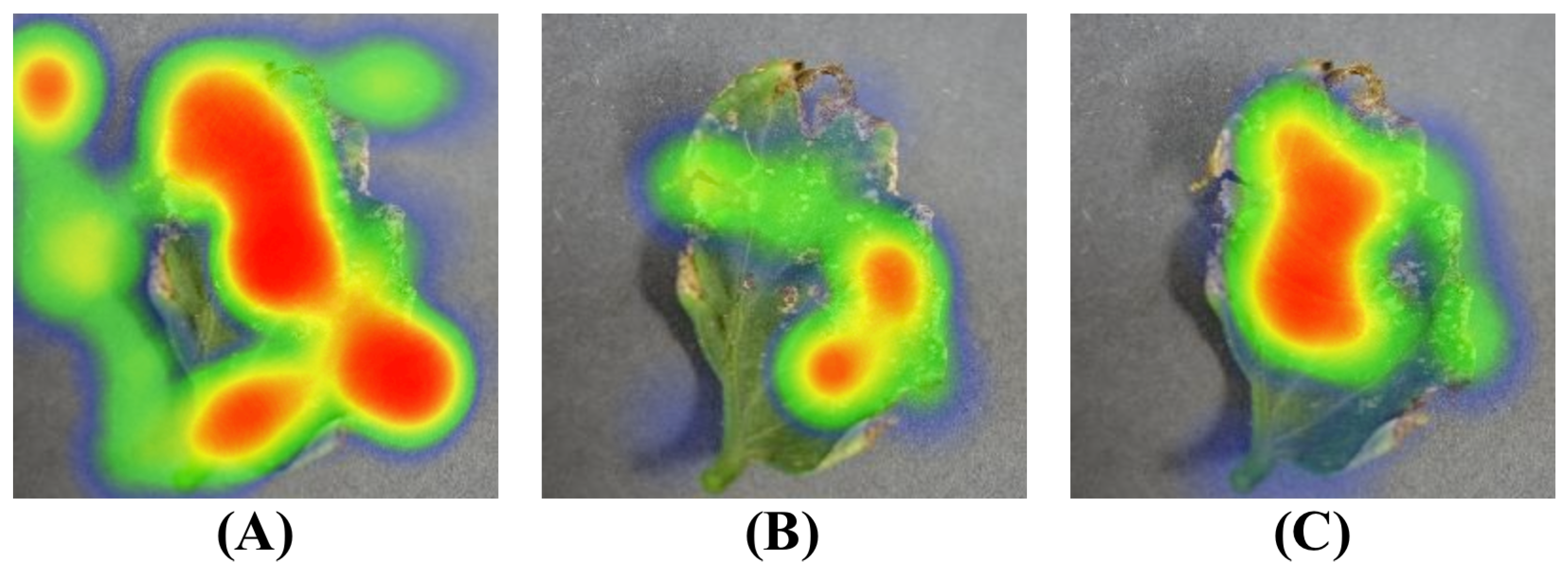 Plants 12 02559 g011 550