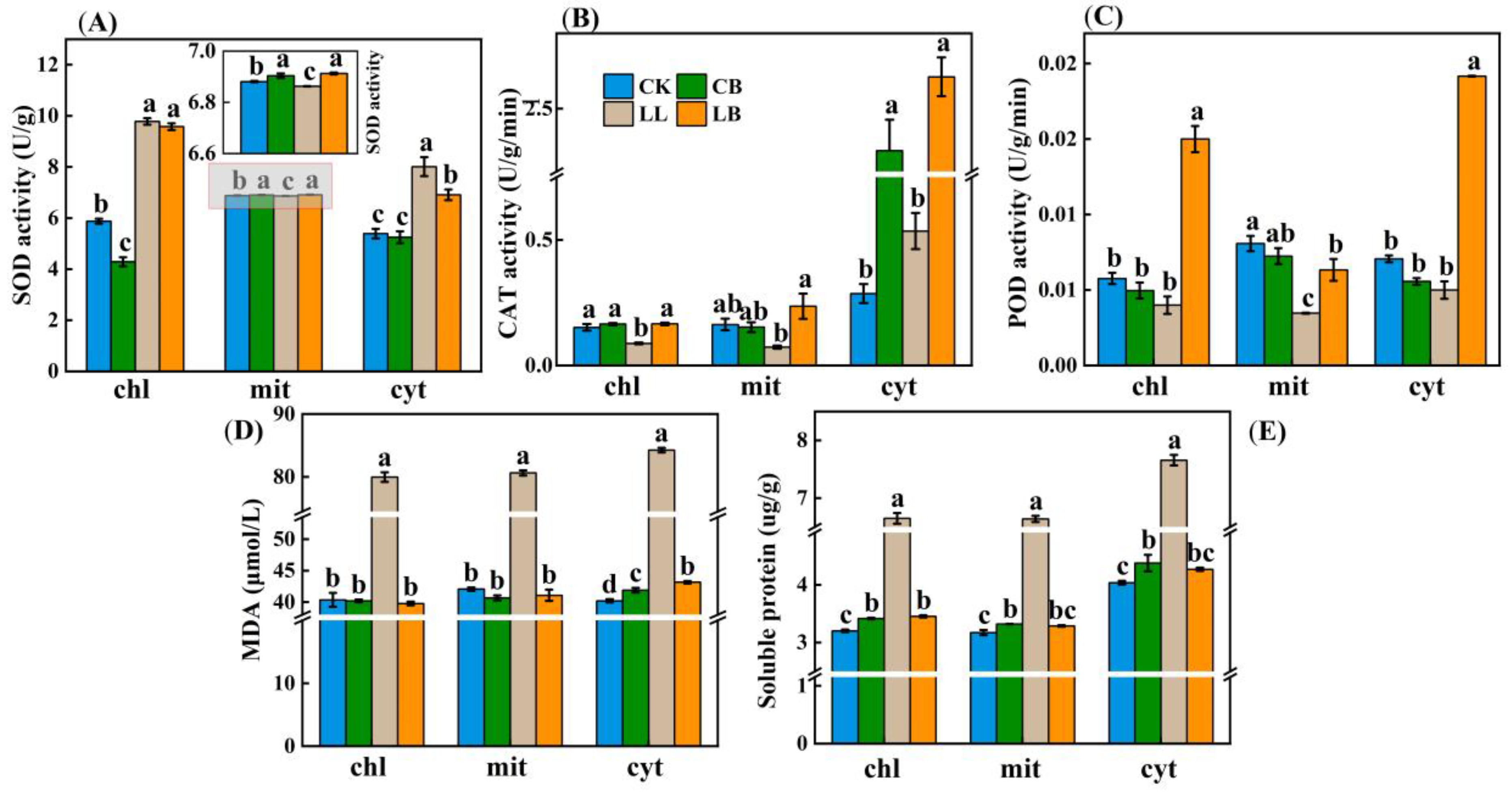 Plants 12 02563 g008 Plants 12 02563 g008
