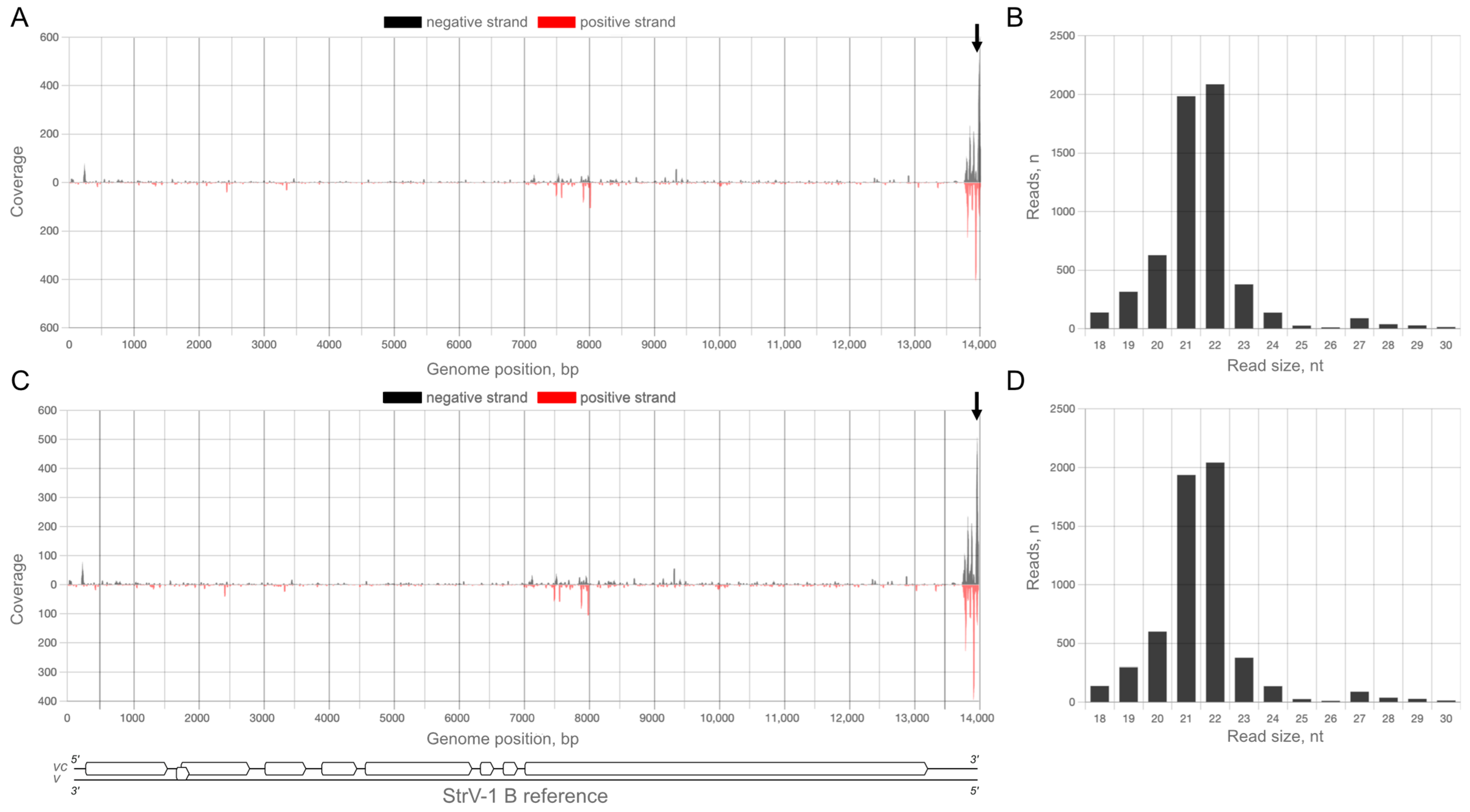 Plants 12 02564 g004 Plants 12 02564 g004