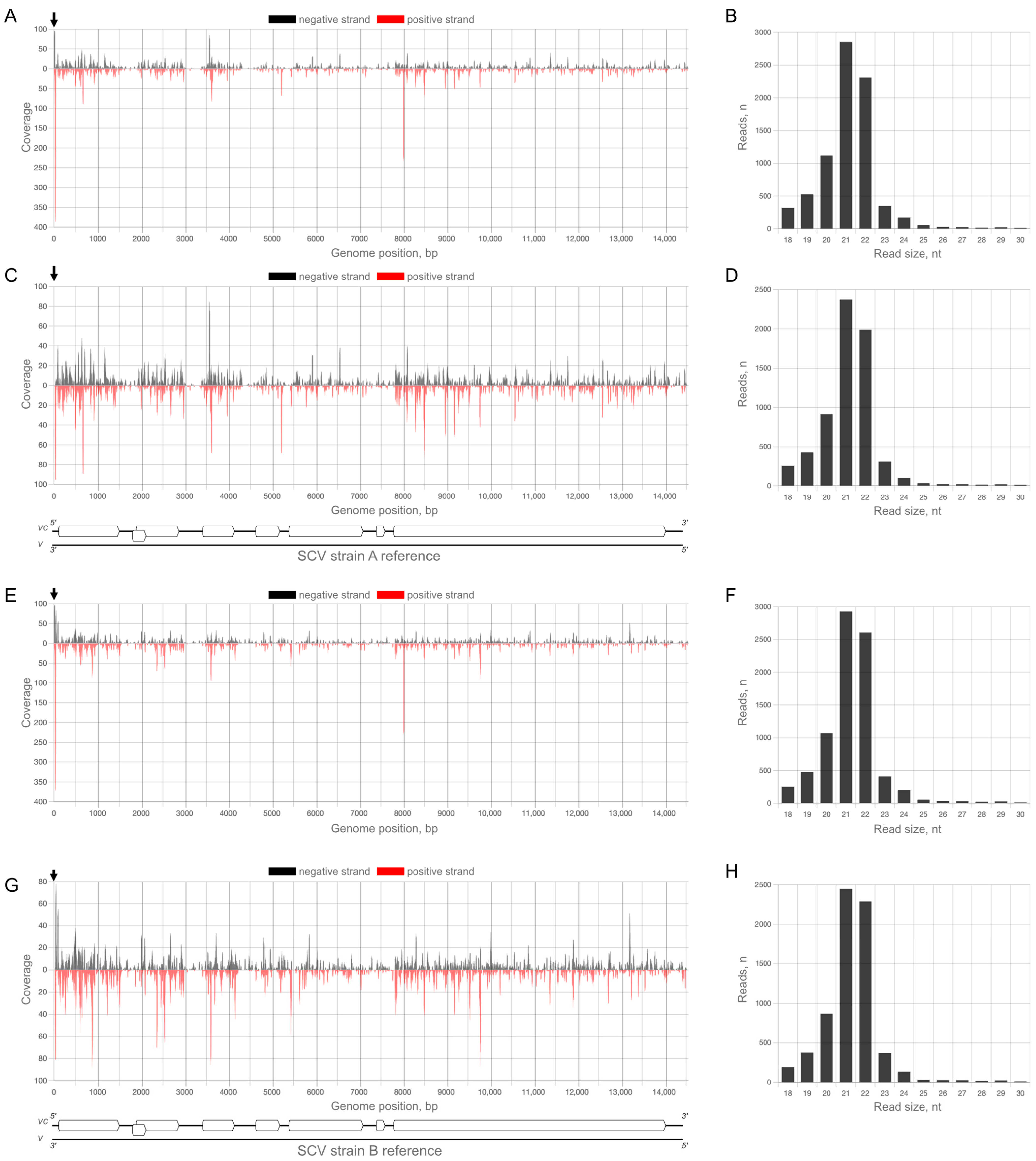 Plants 12 02564 g005 Plants 12 02564 g005