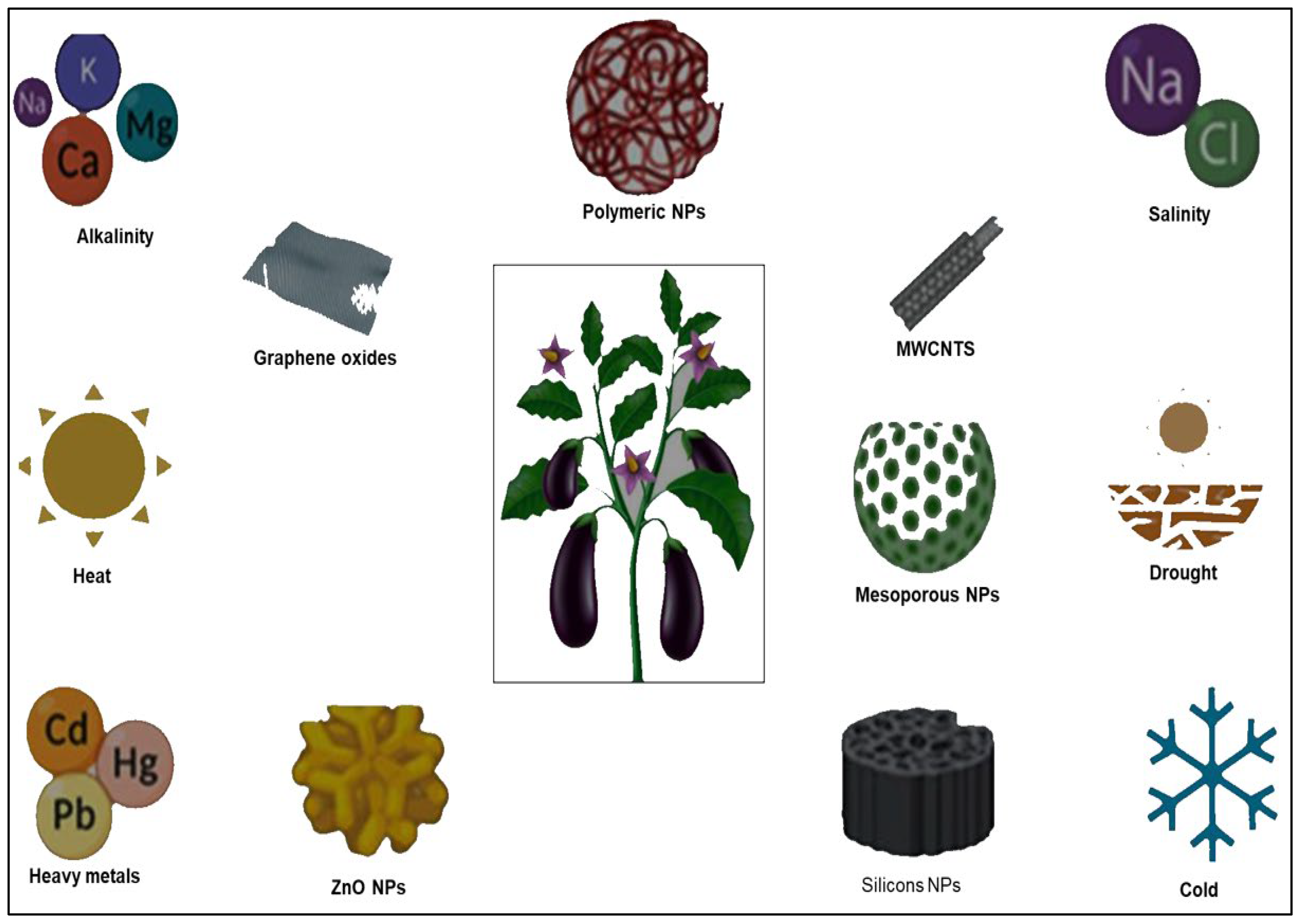 Plants 12 02565 g002