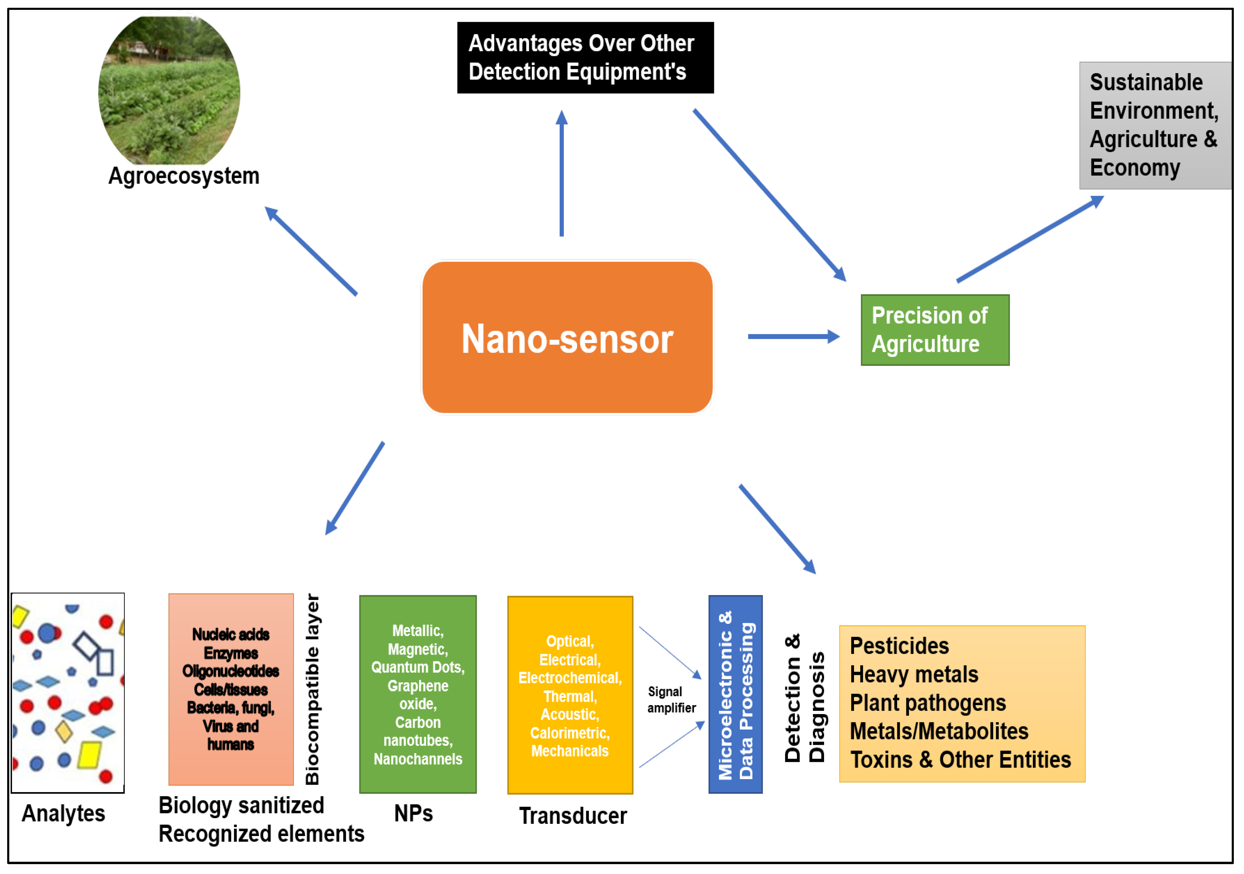Plants 12 02565 g003