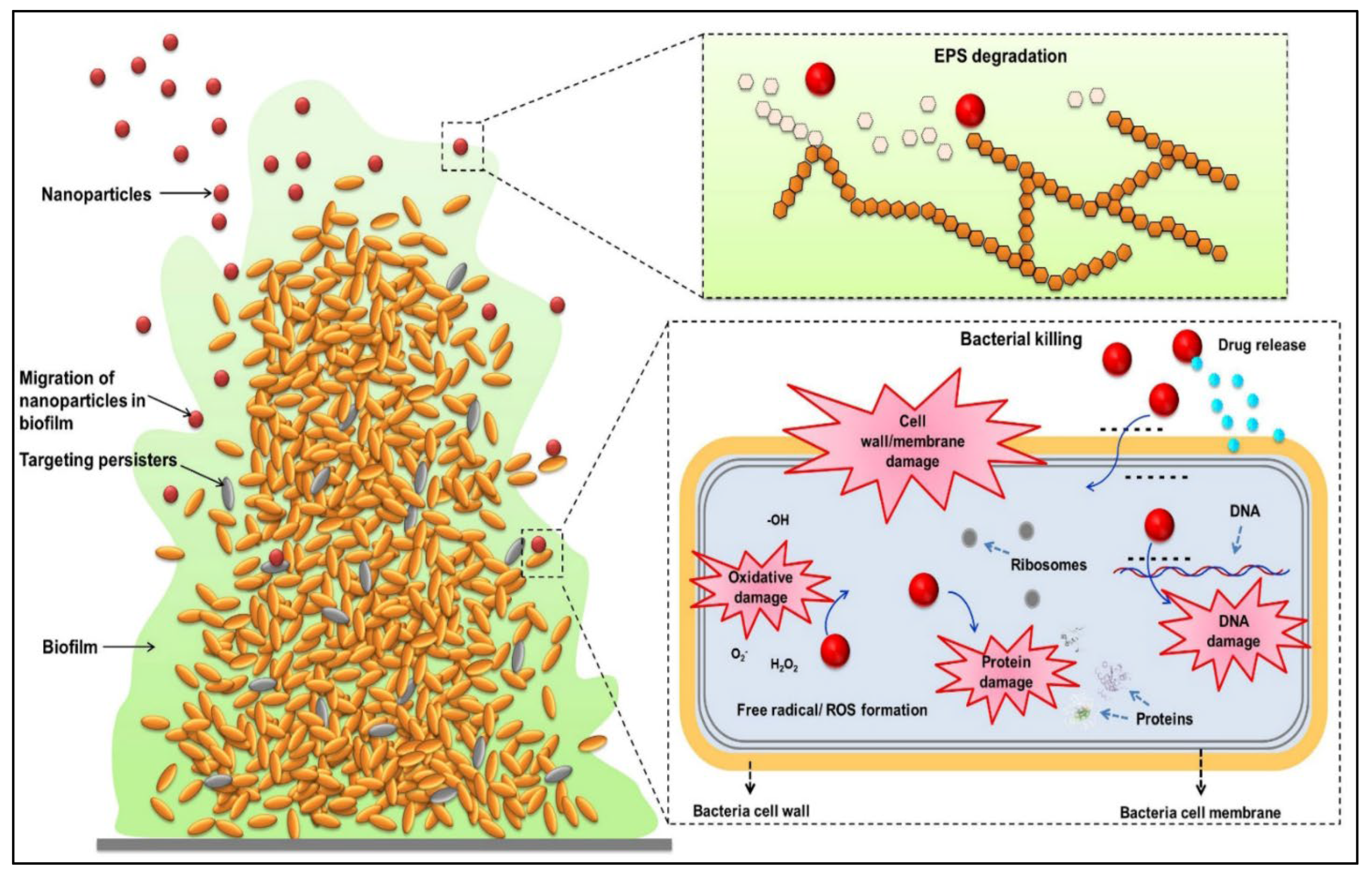 Plants 12 02565 g004