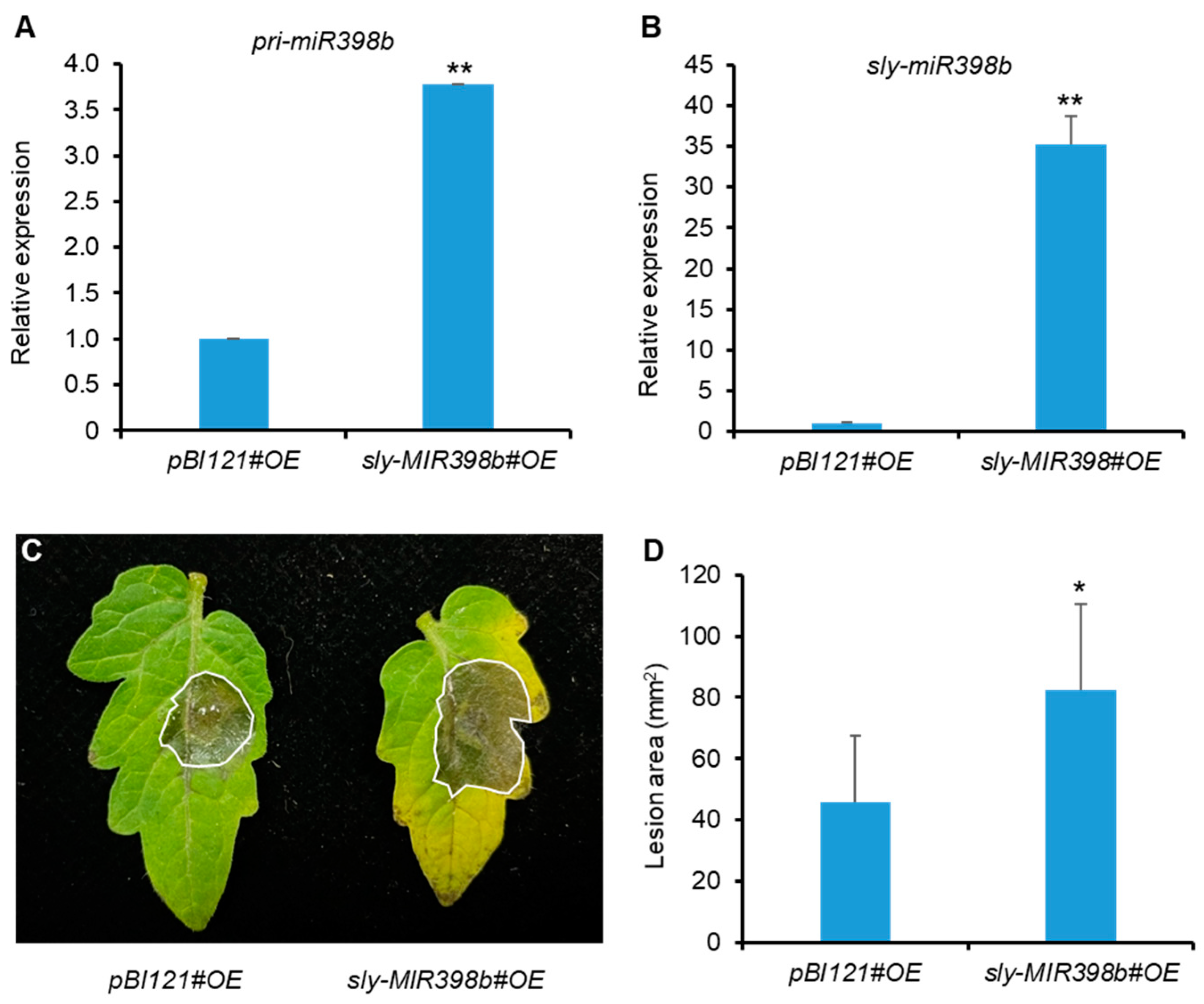 Plants 12 02572 g002 Plants 12 02572 g002