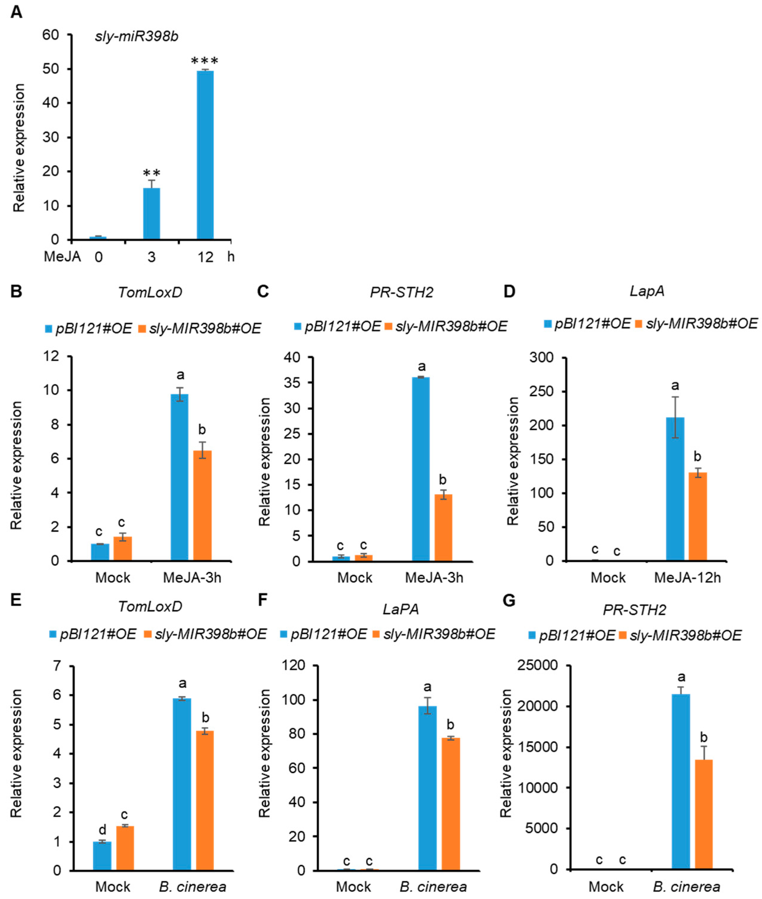 Plants 12 02572 g006 Plants 12 02572 g006