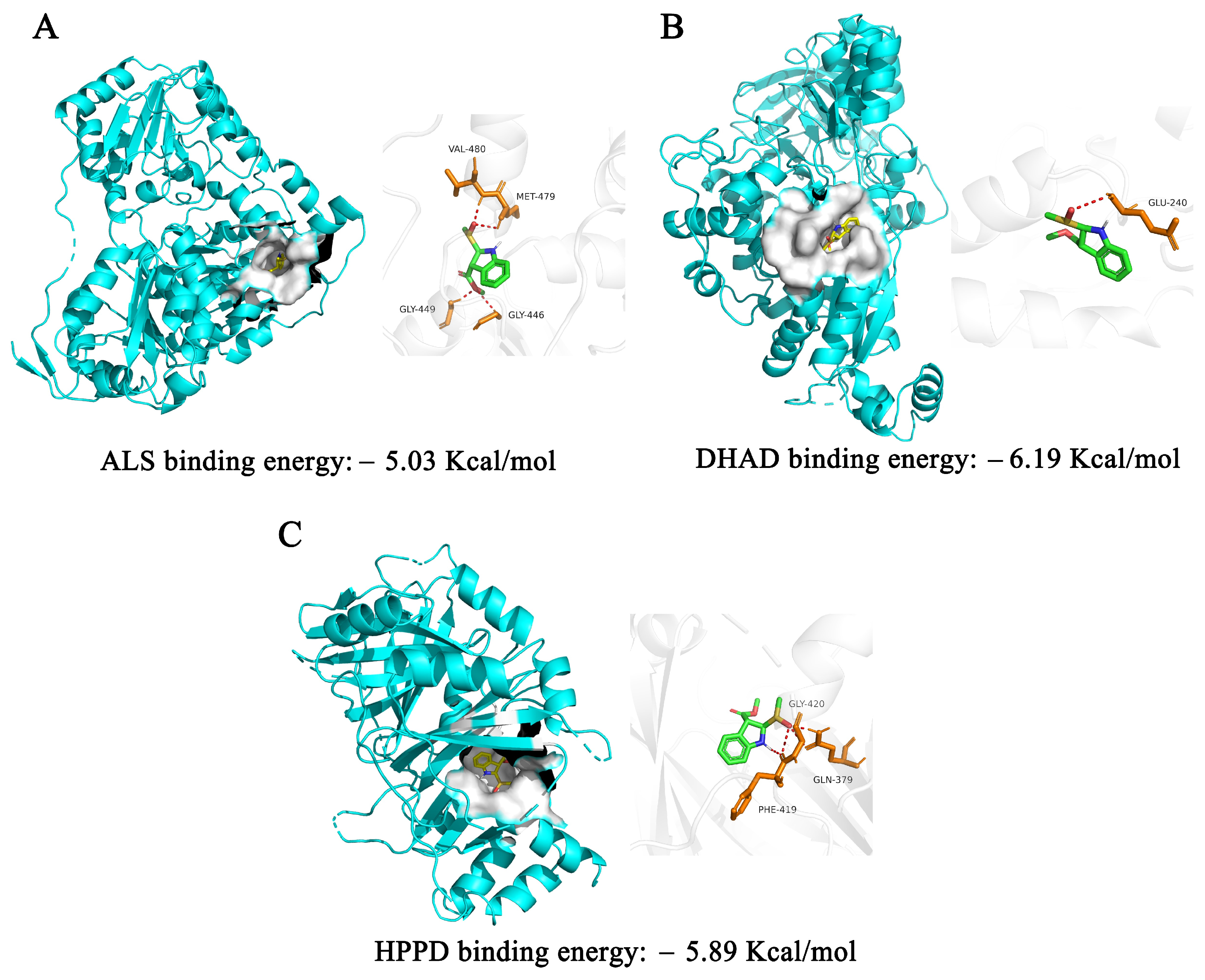 Plants 12 02576 g005 Plants 12 02576 g005