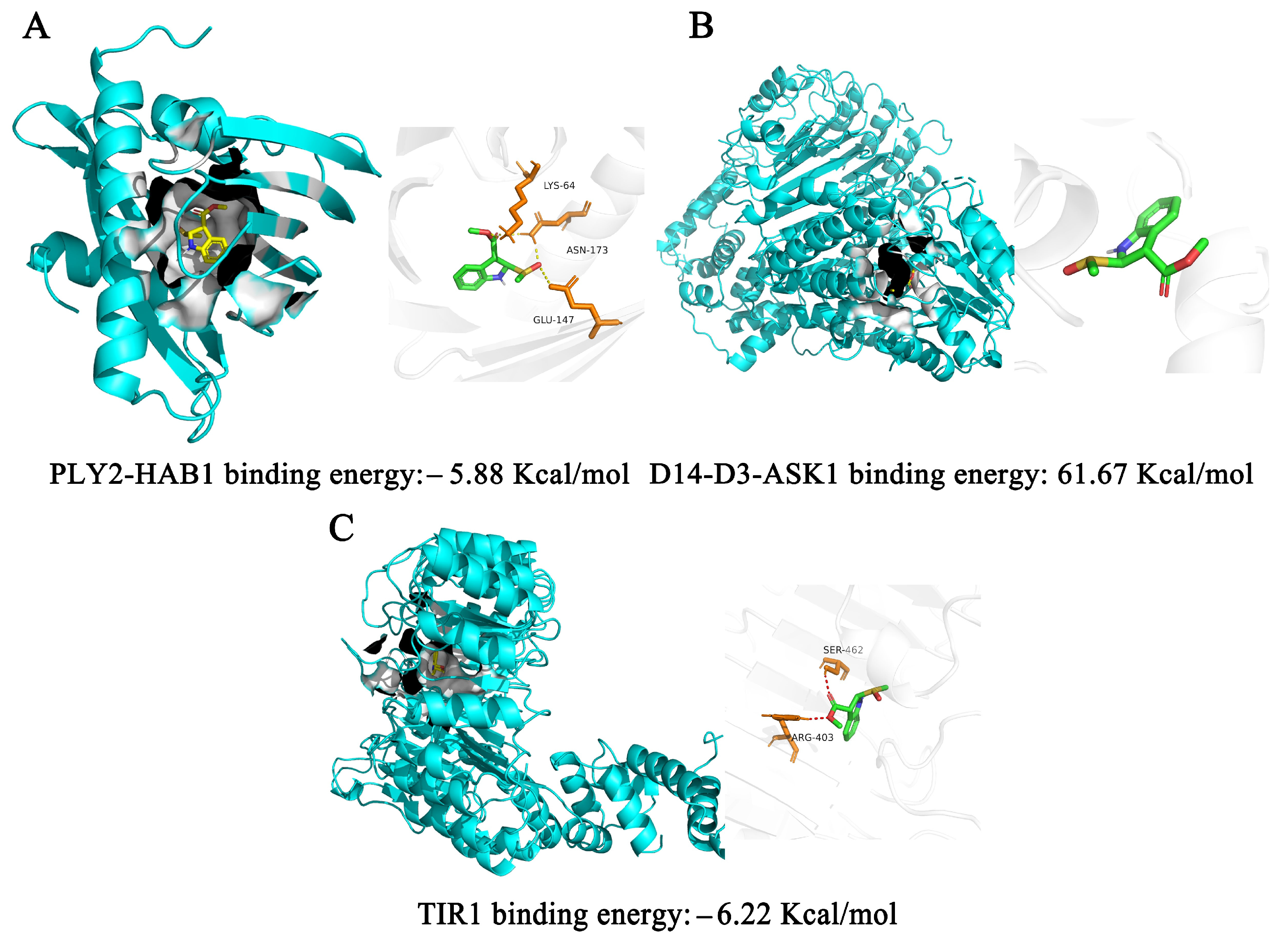 Plants 12 02576 g006 Plants 12 02576 g006
