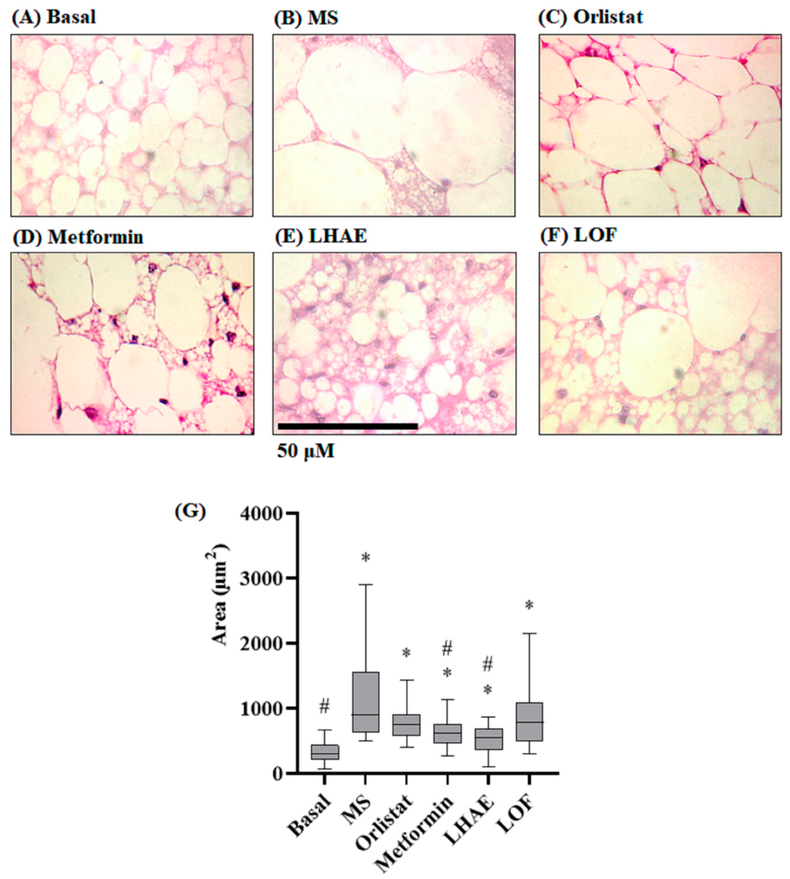 Plants 12 02578 g005 Plants 12 02578 g005