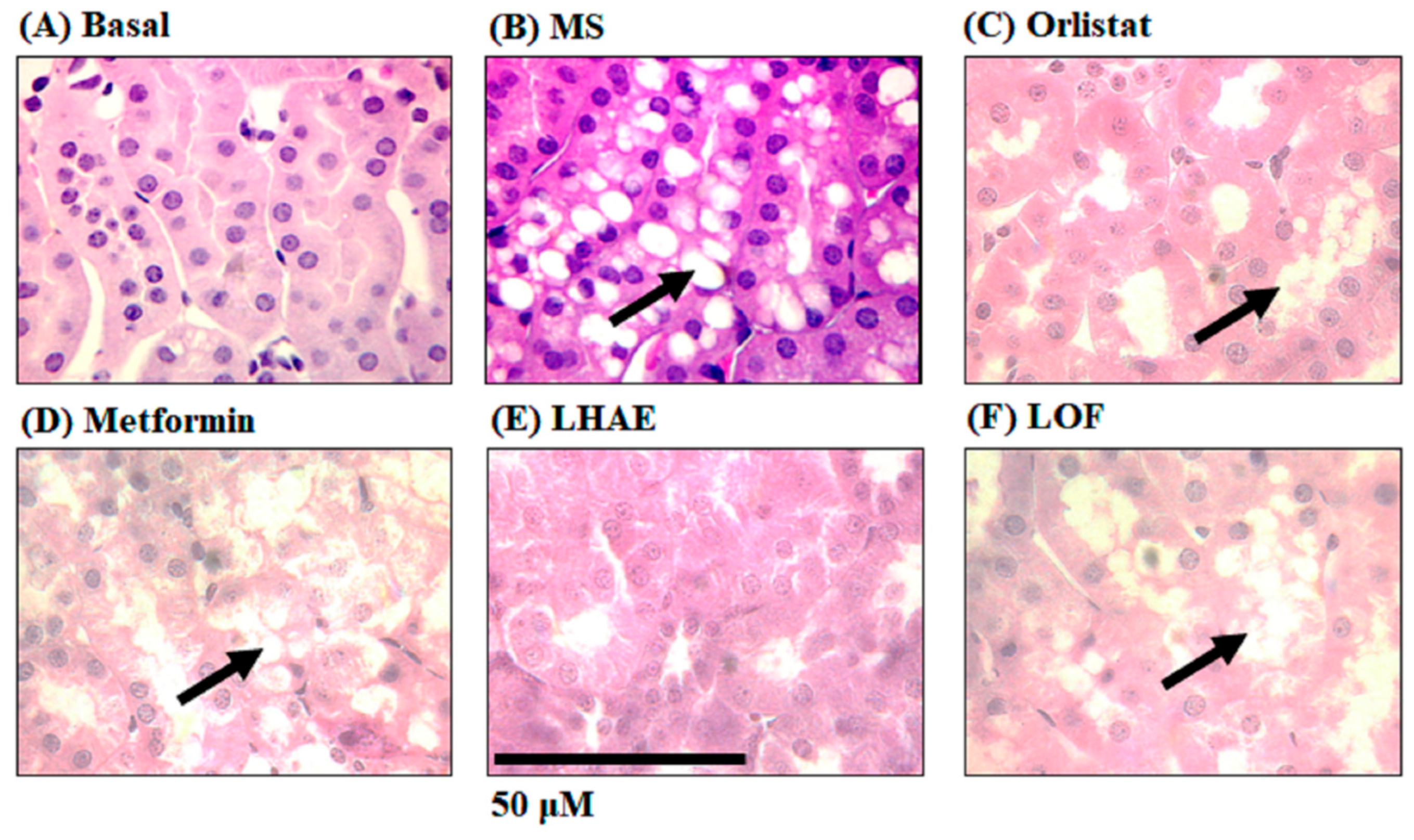 Plants 12 02578 g006 Plants 12 02578 g006