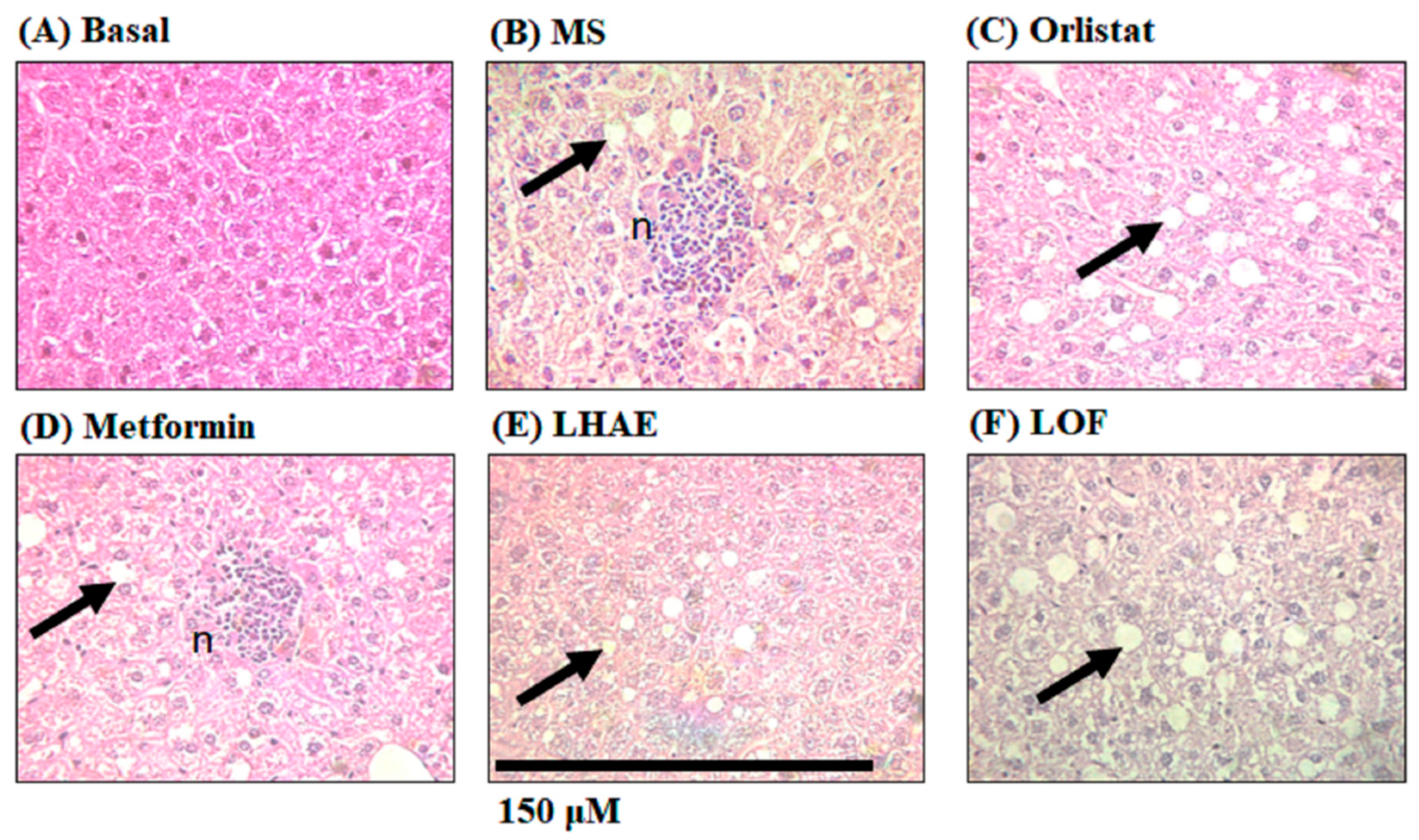 Plants 12 02578 g007 Plants 12 02578 g007